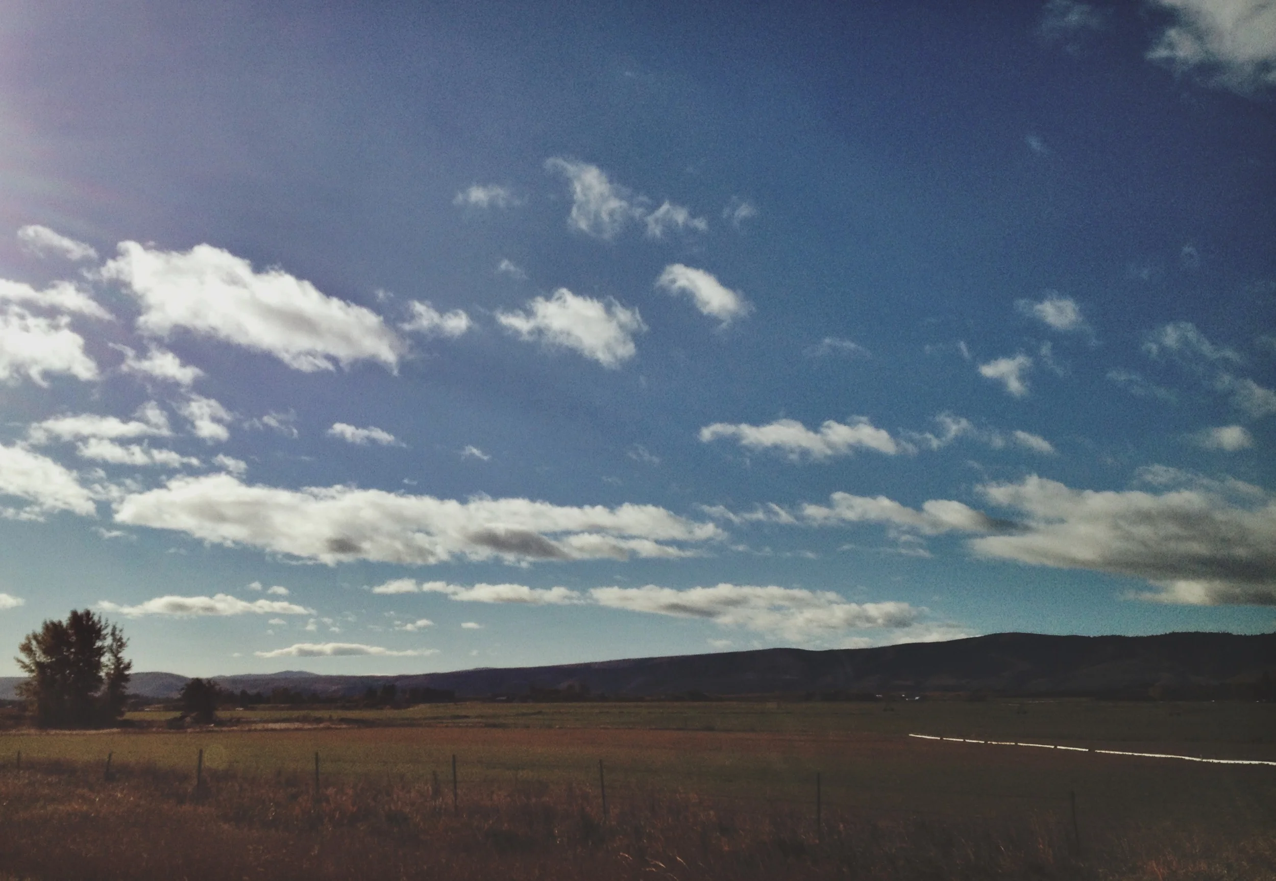   Once I got through the pass and into the Ellensburg area, things brightened up, as did I.  