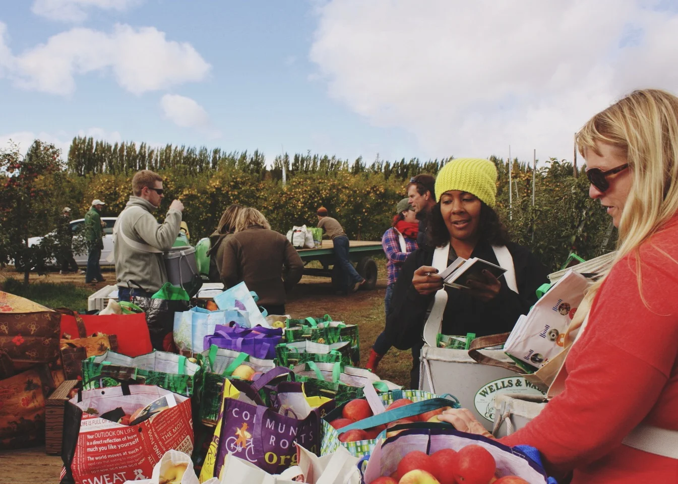   Here Olaiya Land from The Pantry is labeling her bags of apples. We fairly quickly, as a group, and after just the first section of trees, used up most of the real estate on the trailers with apples.  