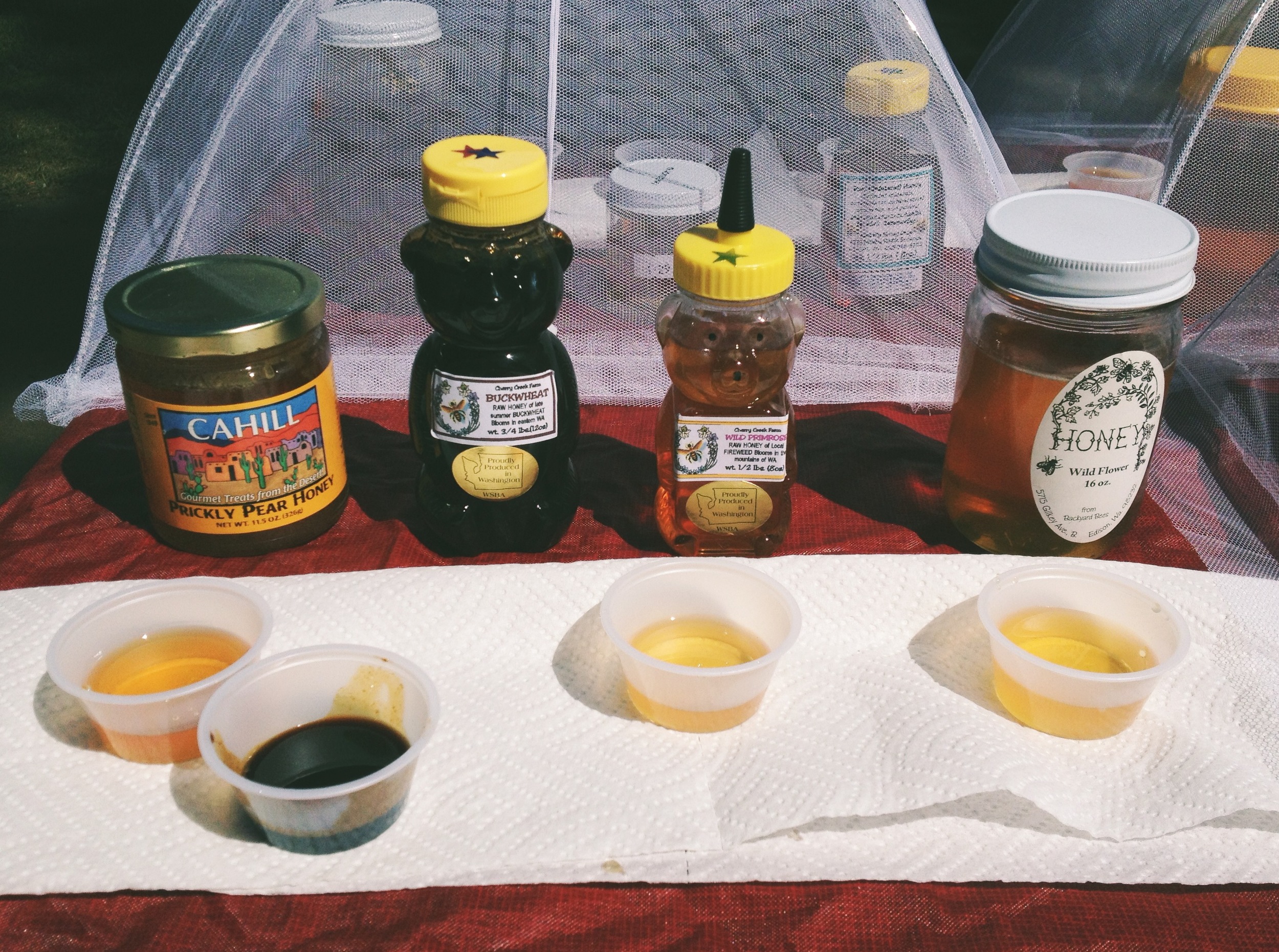 Slow Food Seattle Honey Tasting