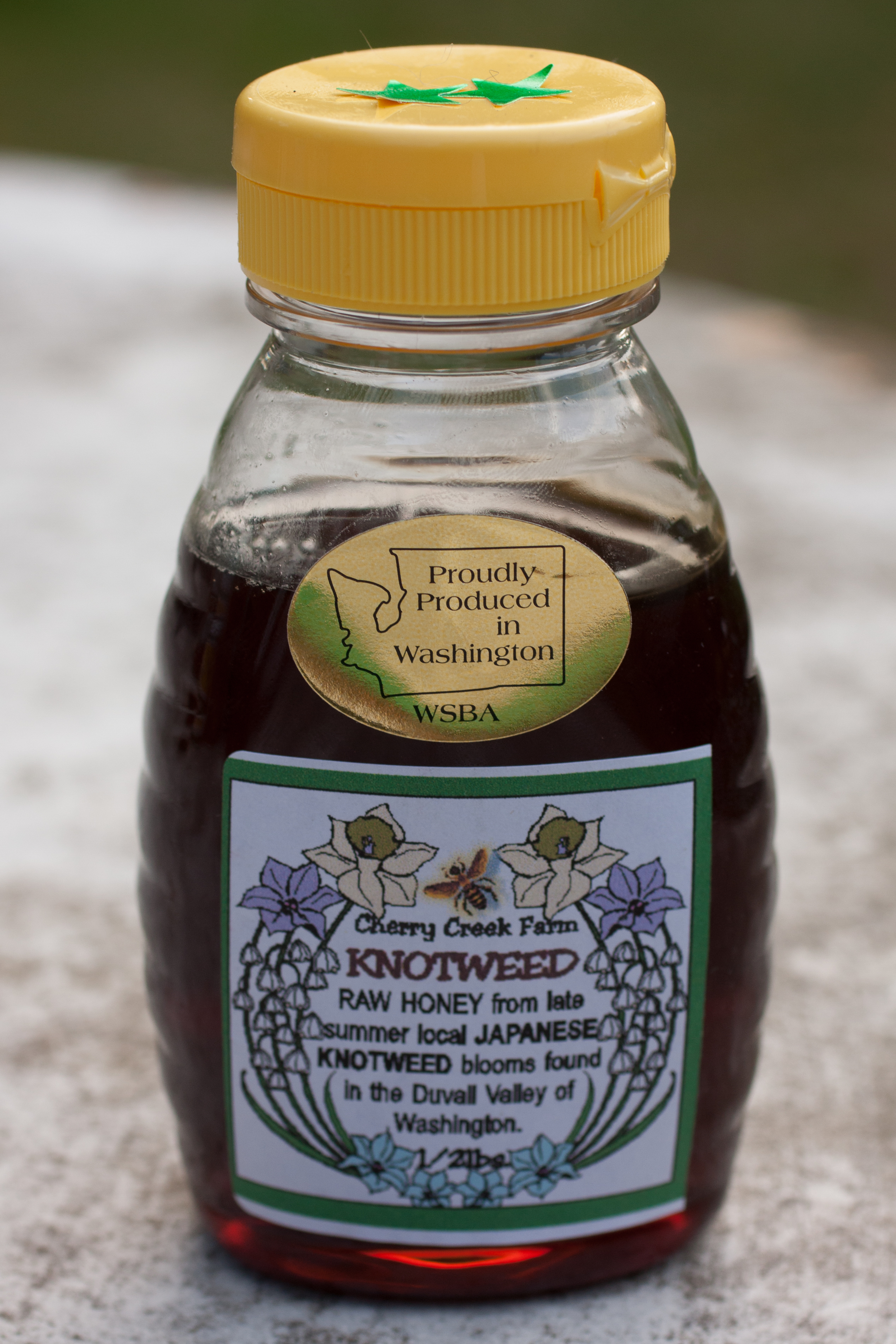 Knotweed (Duvall, WA): grass, bittersweet, deep, heavy sweetness, “almost like it has rum in it,” medium texture, “tiny bit bitter,”“tingles throat”