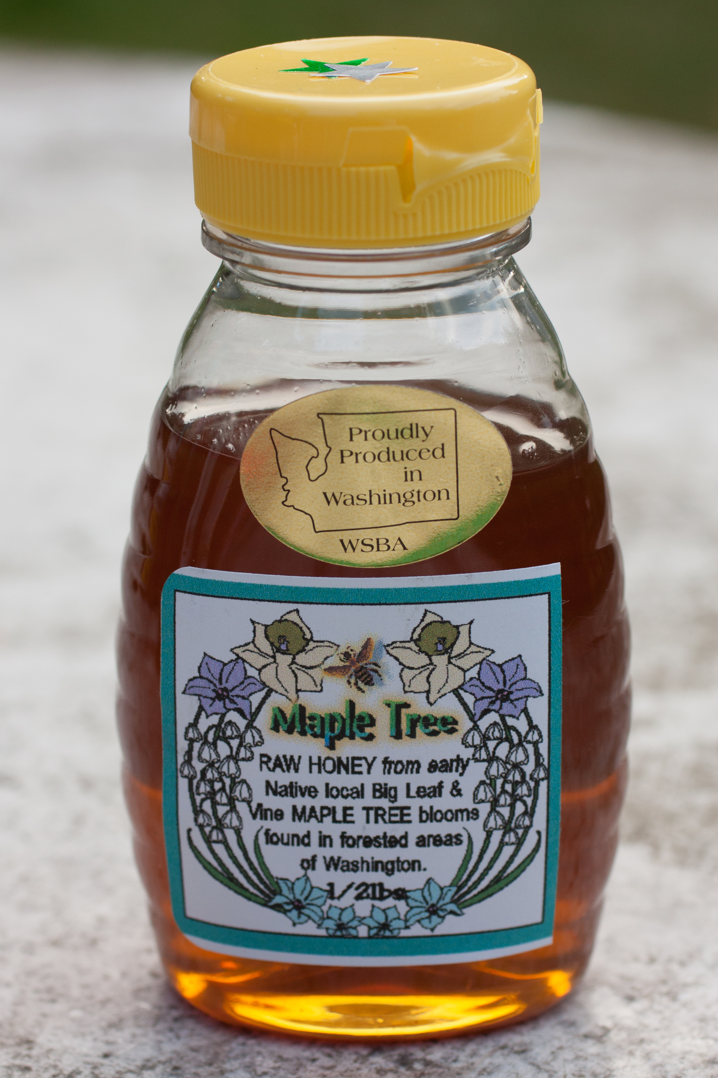 Maple tree (WA): floral (x3), high sweetness, jasmine, bright, mapley, “maple syrup with a flowery taste,” woody, light texture, “burns throat”