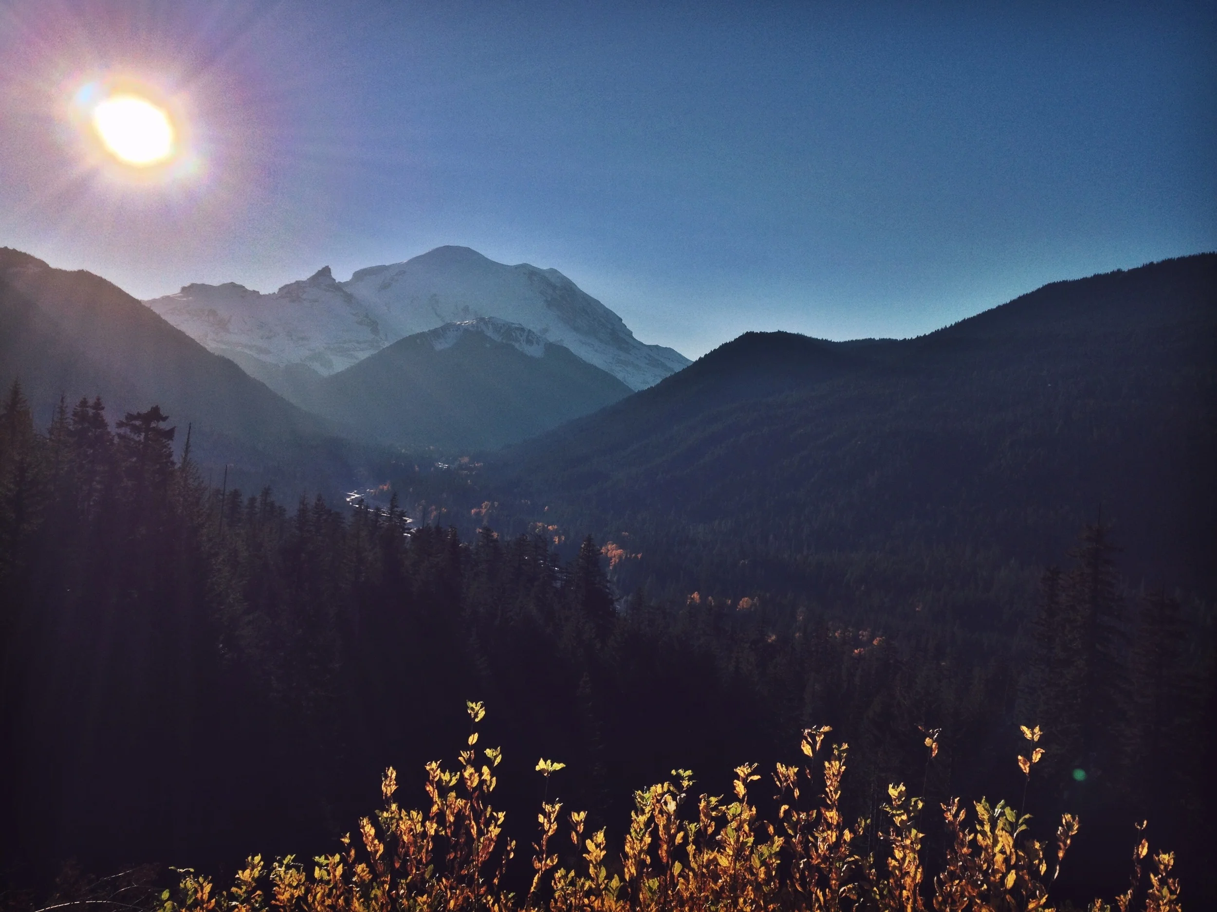 Hell's Crossing Camping & Mushroom Hunting
