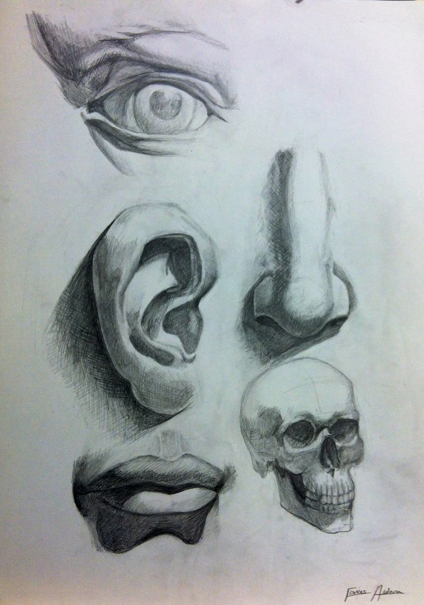 Student work in progress - Summer 2014