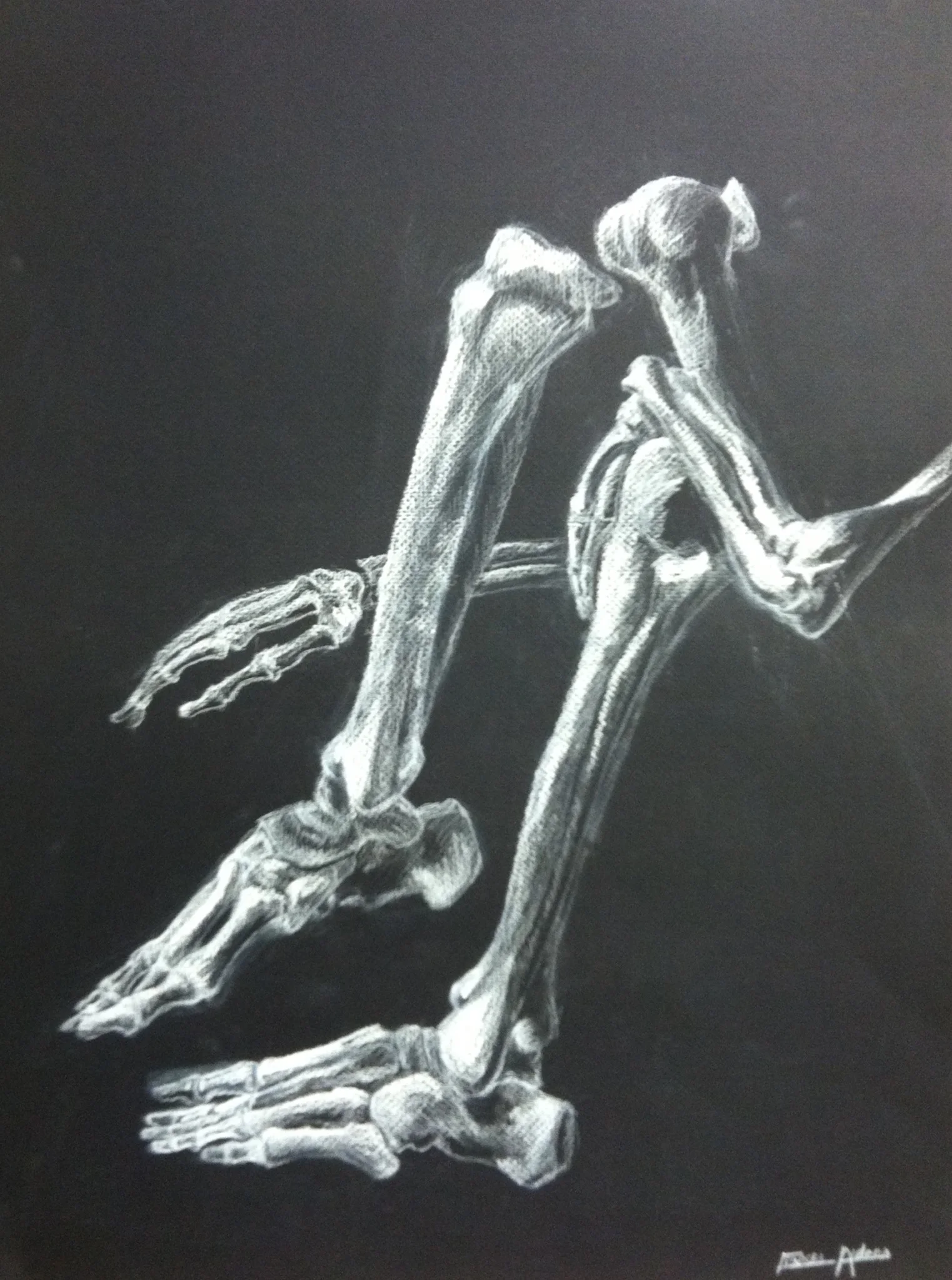 Student work in progress - Summer 2014
