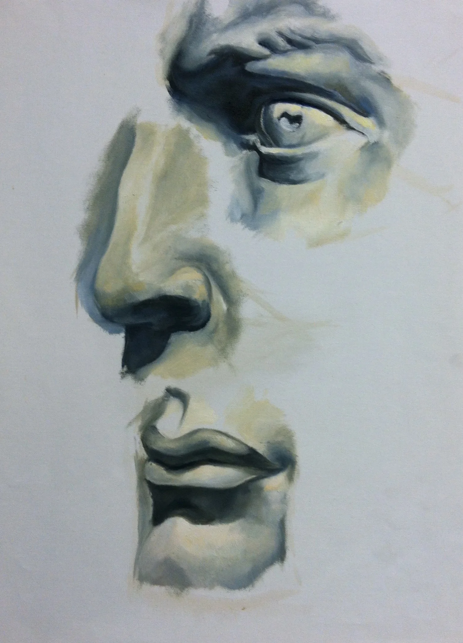 Highschool Facial Studies. Oil Painting
