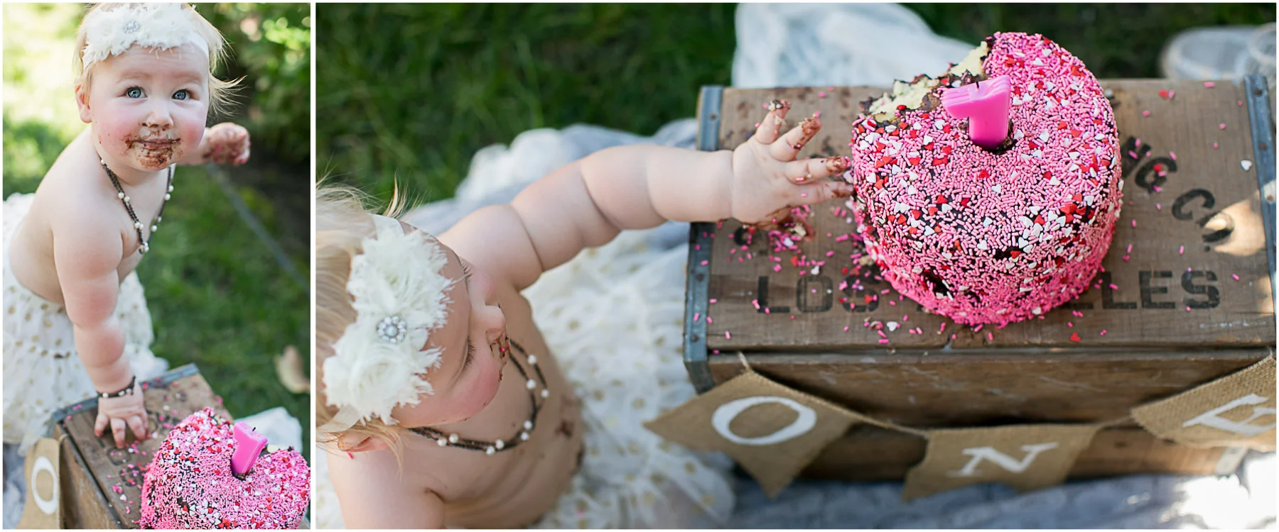 JennaBethPhotography-CharlotteOne-2.jpg