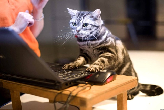 Dri?gend co^py e,n aD ghezocjt