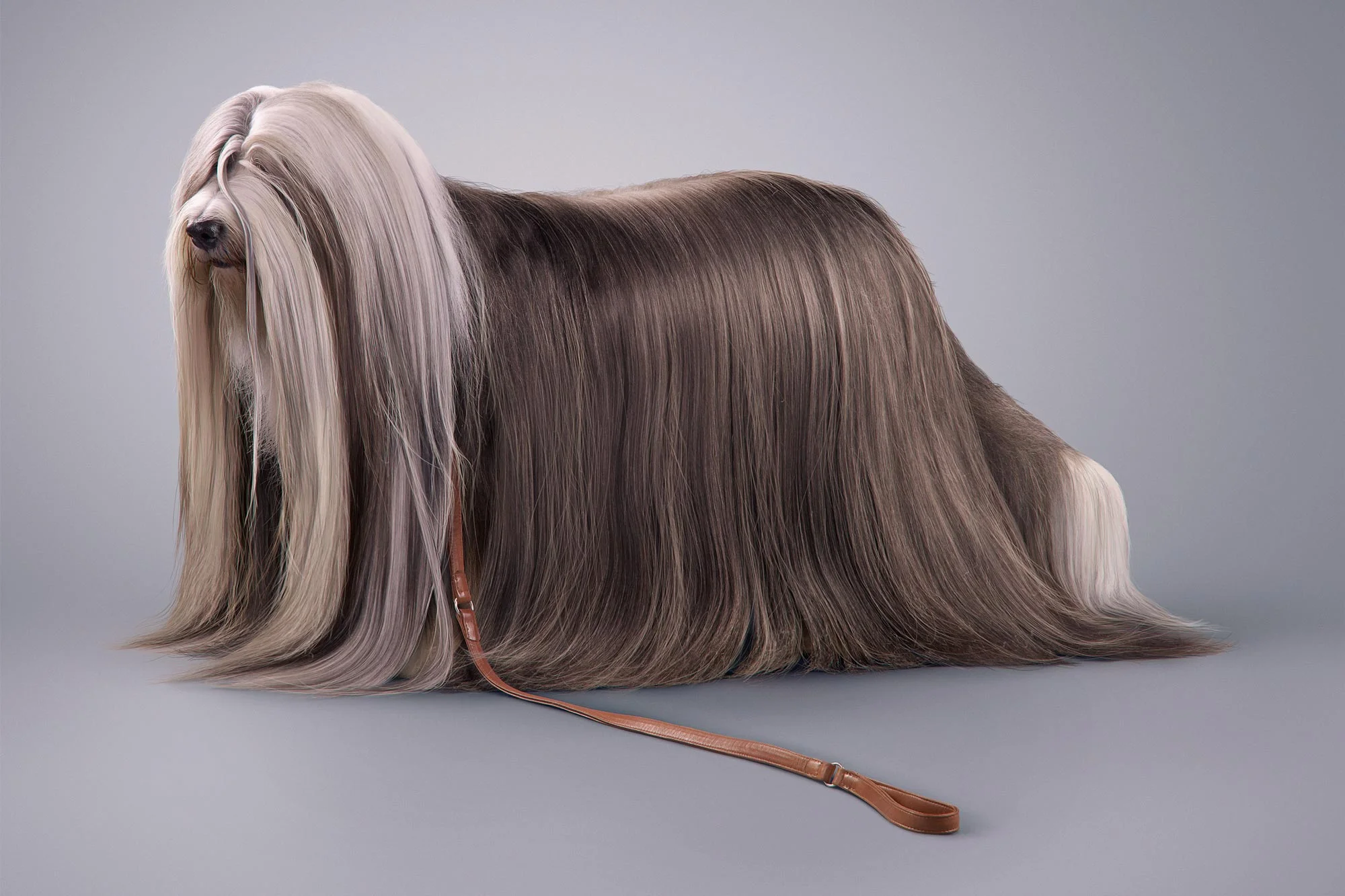 Stuff you keep delaying