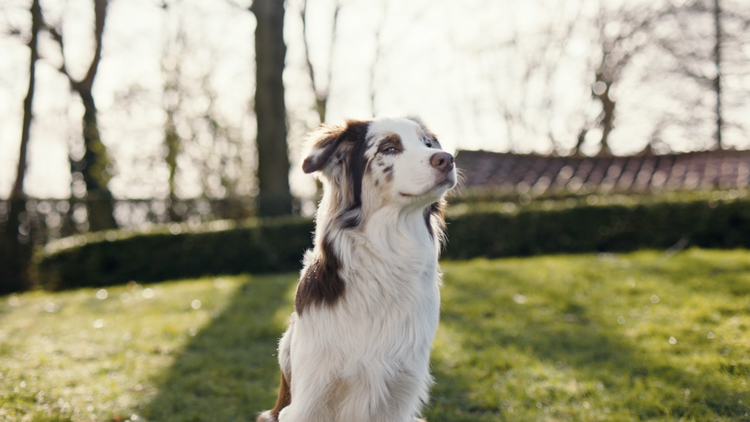 The Flirt still 1.png