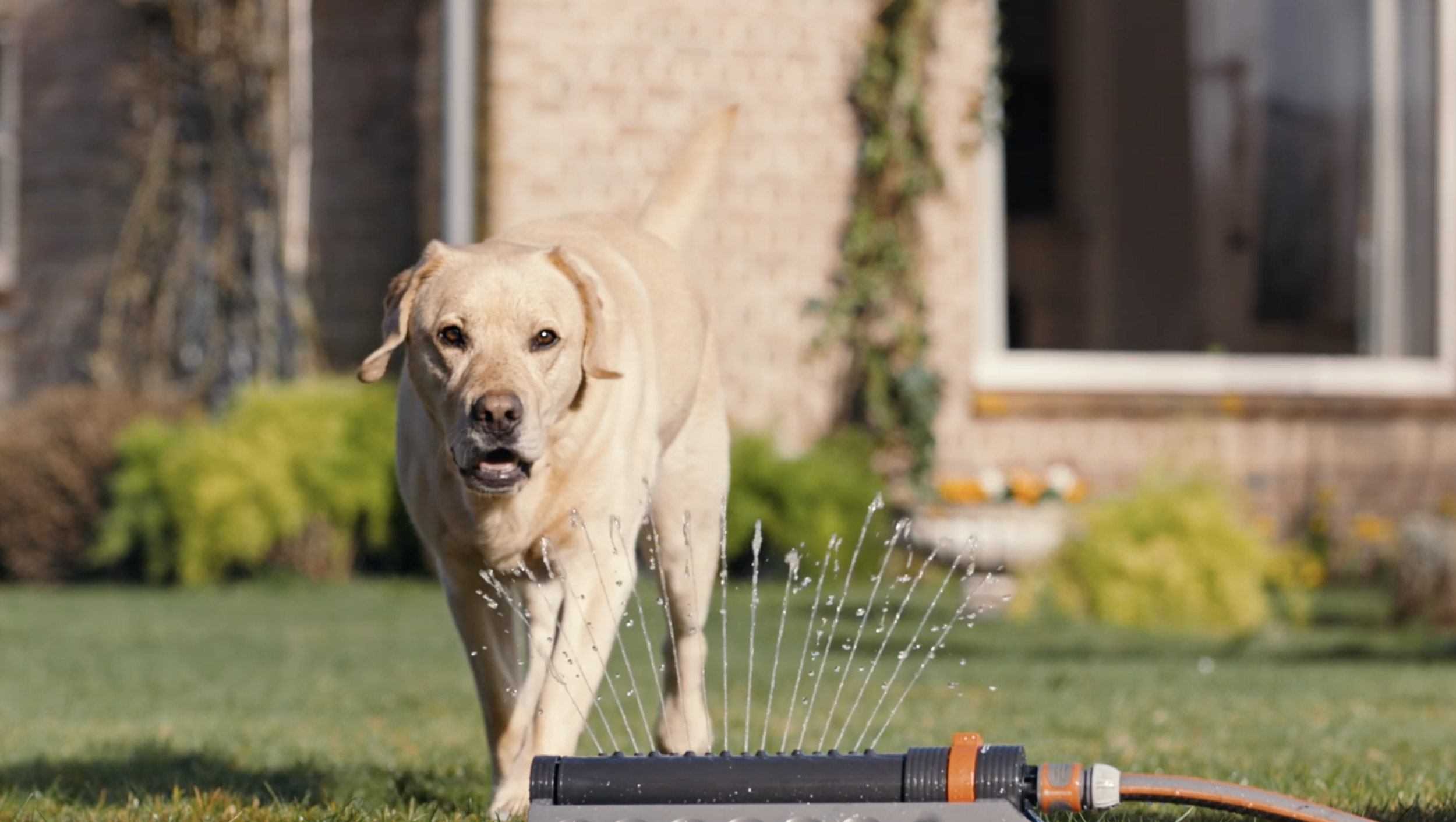 The flirt image 2 - Beaphar