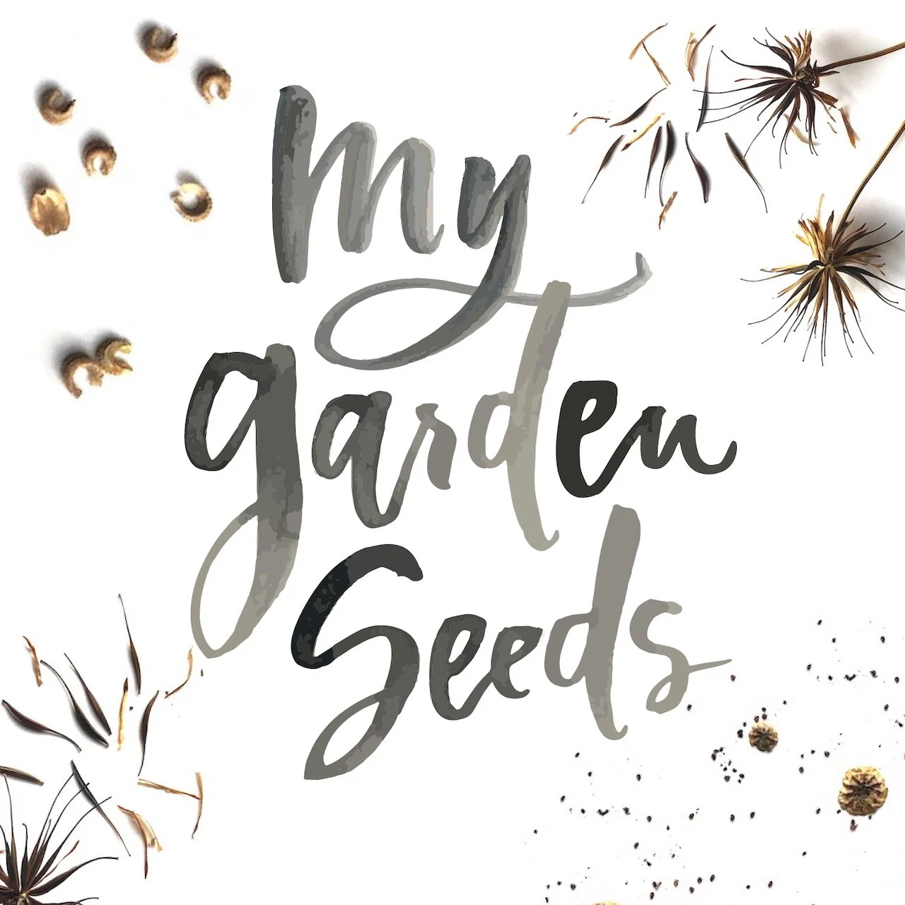Seeds layout 1.jpeg