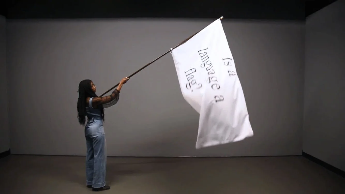 Is a language a flag - Screen Grab.jpg