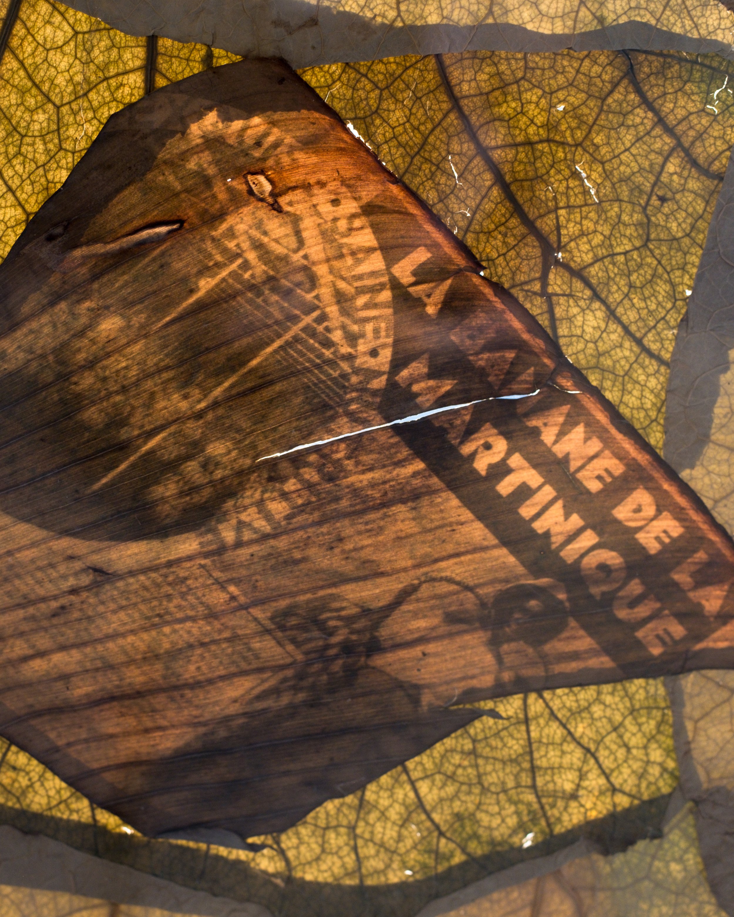 25-10-17_10-05-31_X-H1_35.0 mm-2-2.jpg