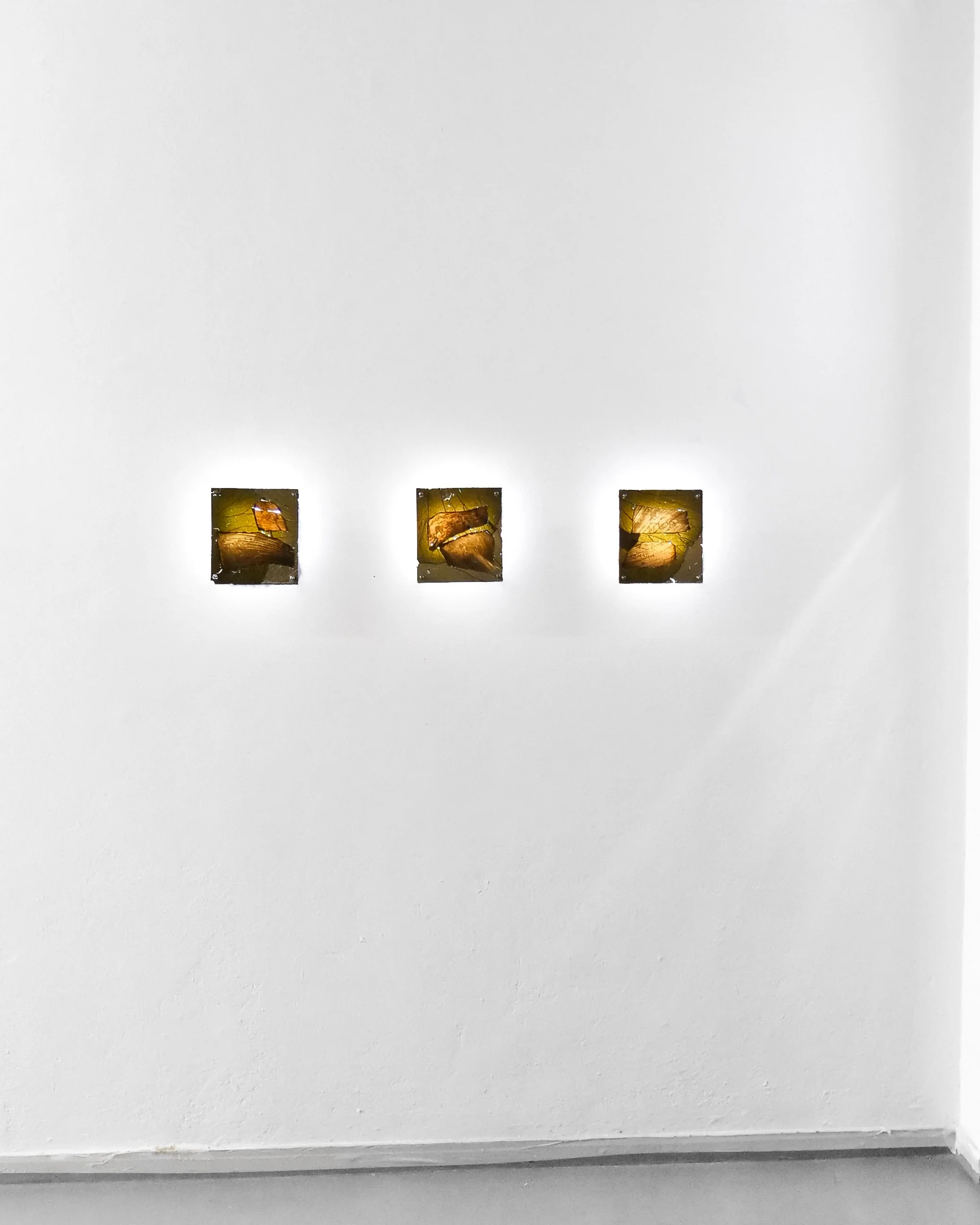 P1155344-4.jpg
