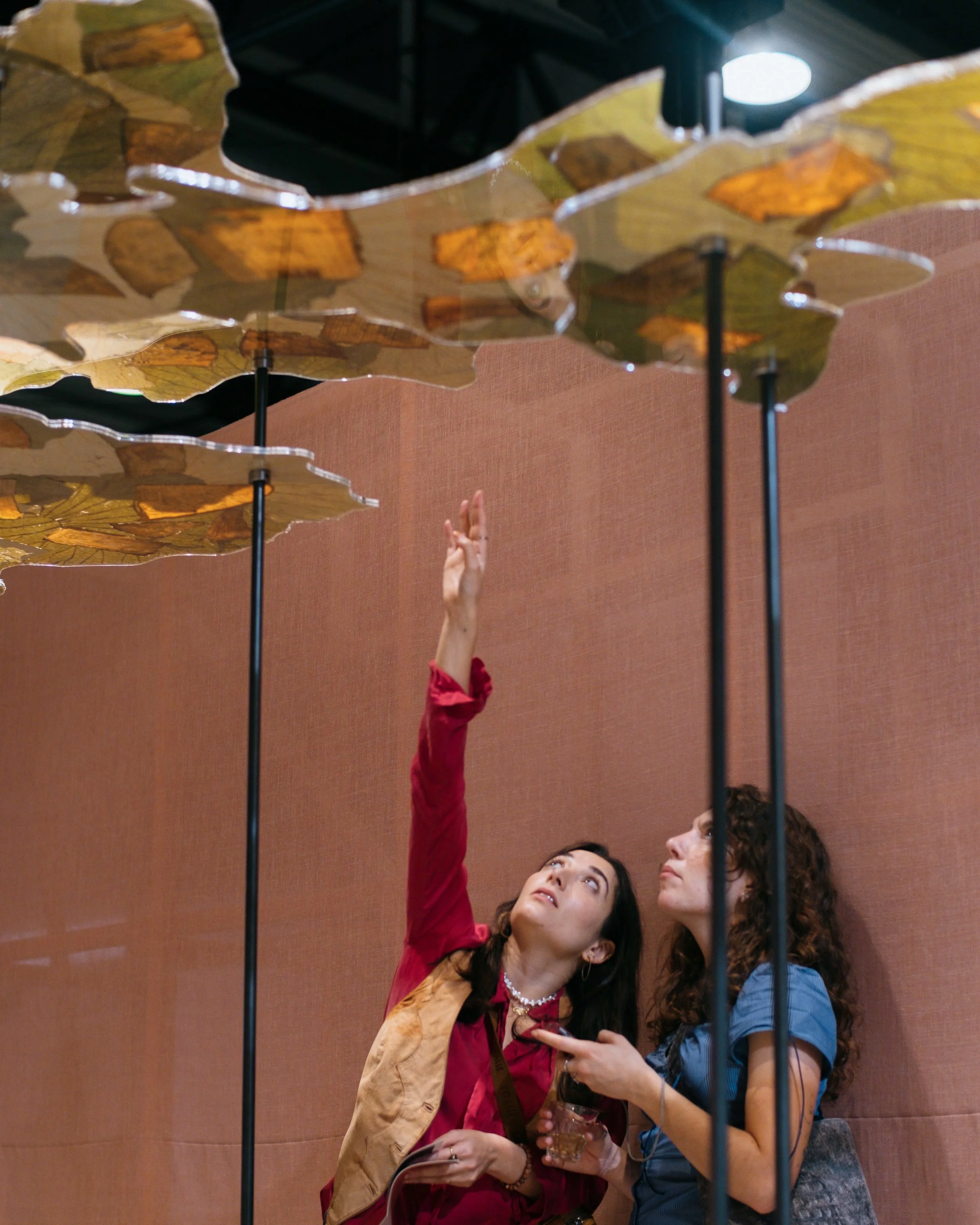 25-10-15_19-03-39_X-H1_35.0+mm-2-2.jpg