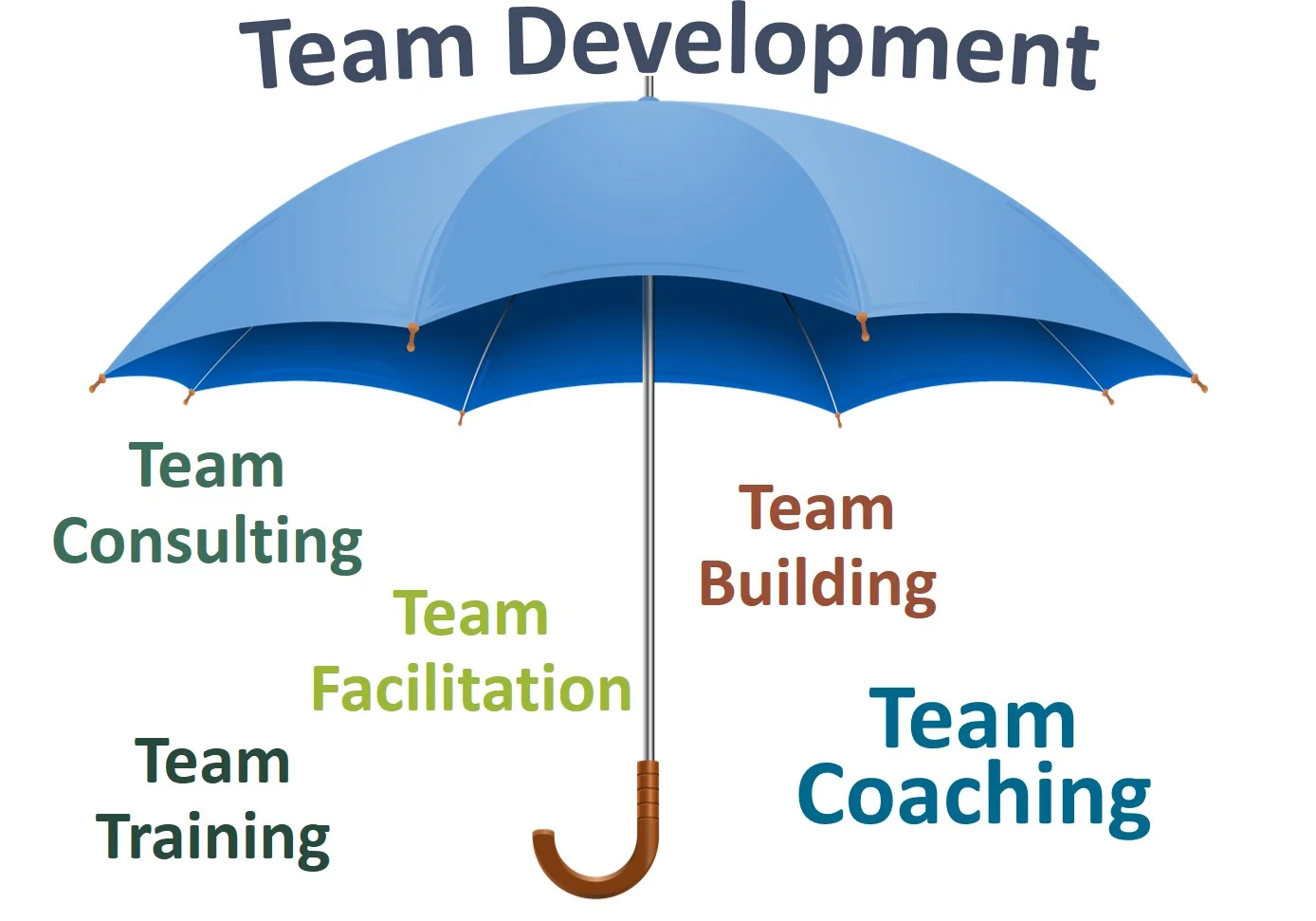 Team Development Modalities - Umbrella.jpg