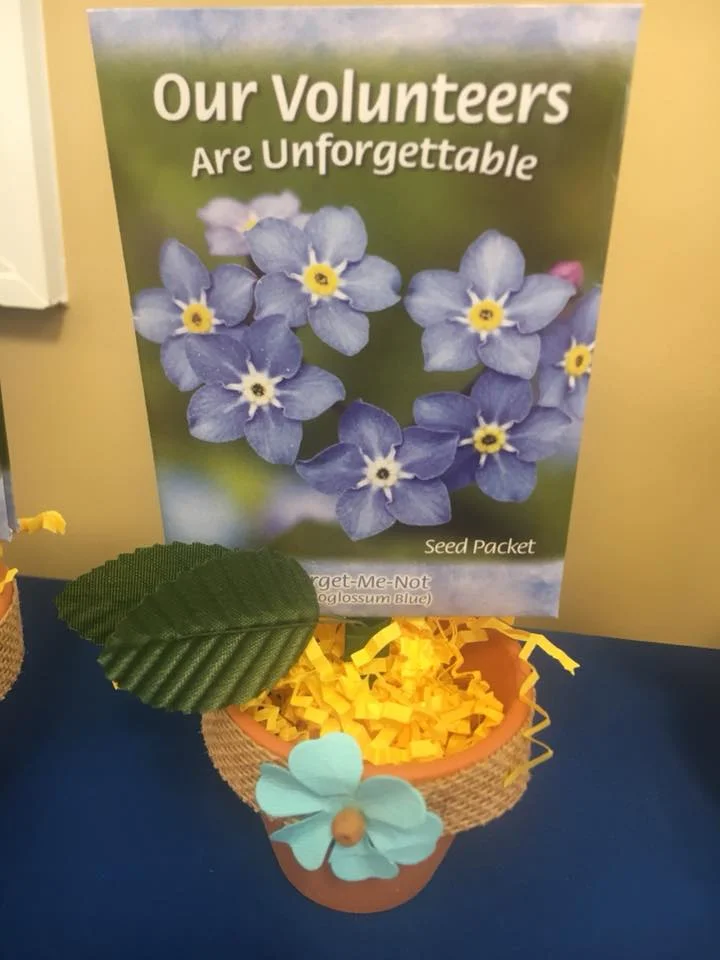 flower.jpg