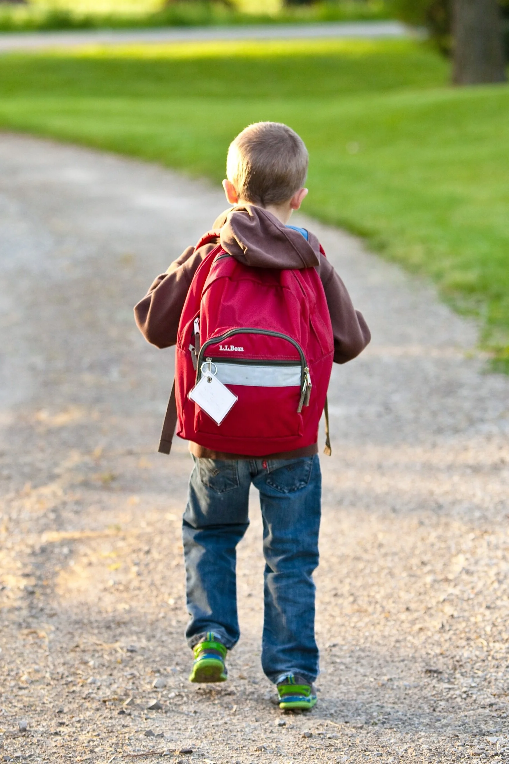 school-1634755.jpg