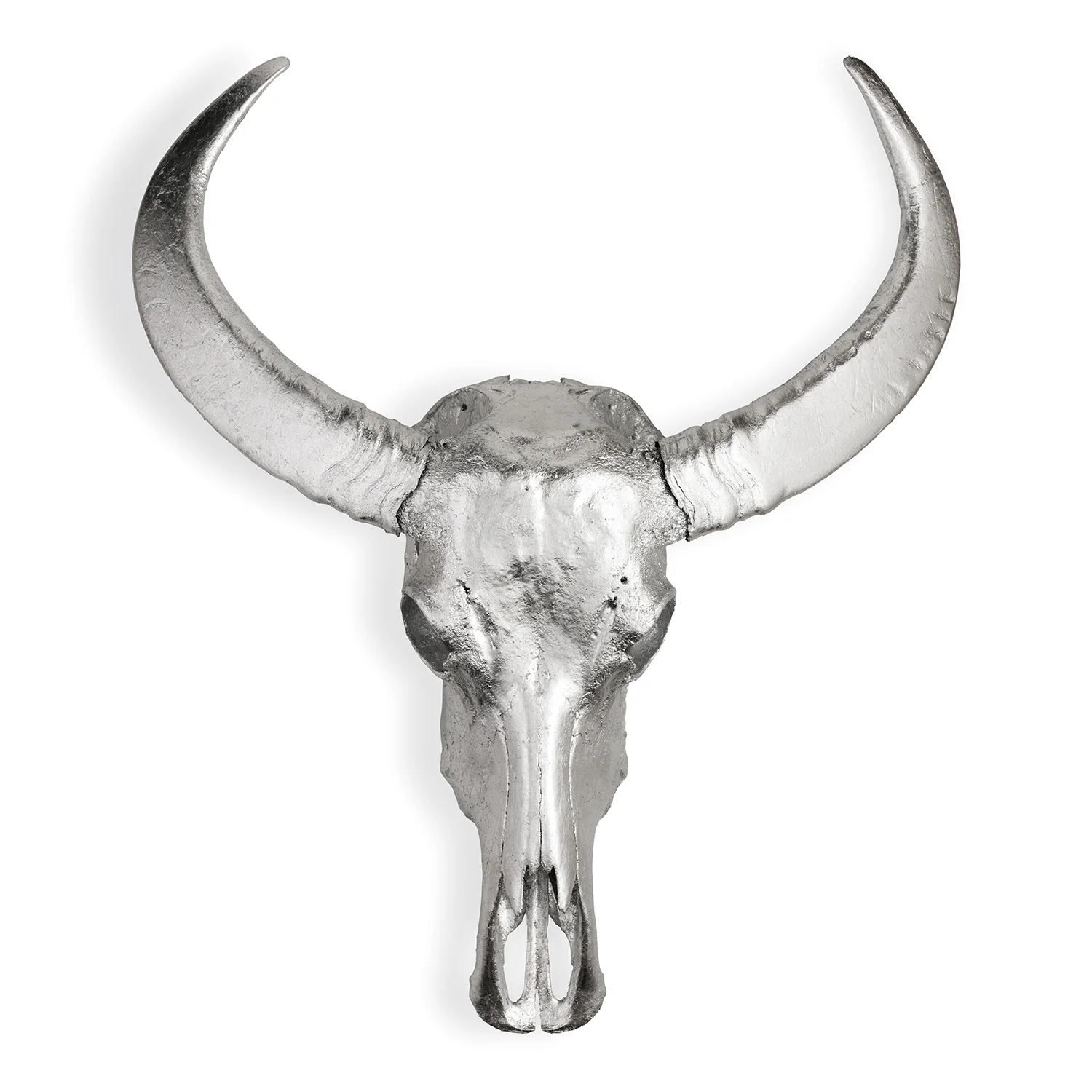 Skull_Silver100x100WhiteLOWRES.jpg
