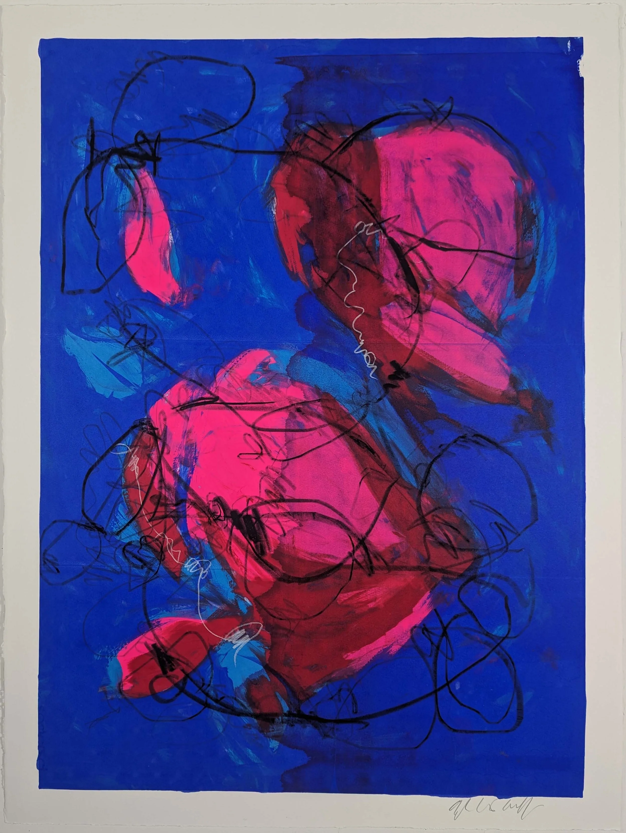 Veiled Landscapes.jpg