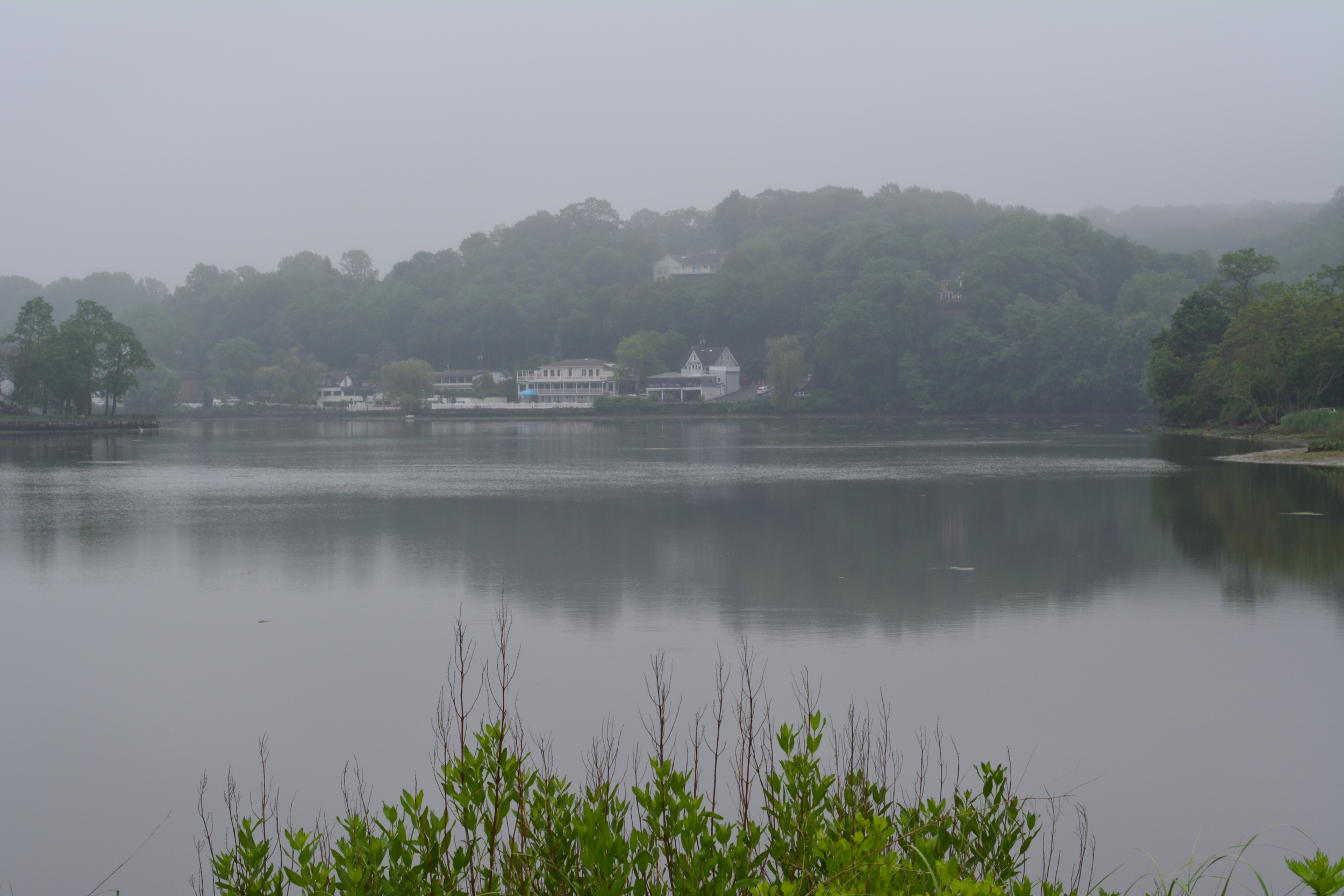 Gunfire Puts Centerport On Alert