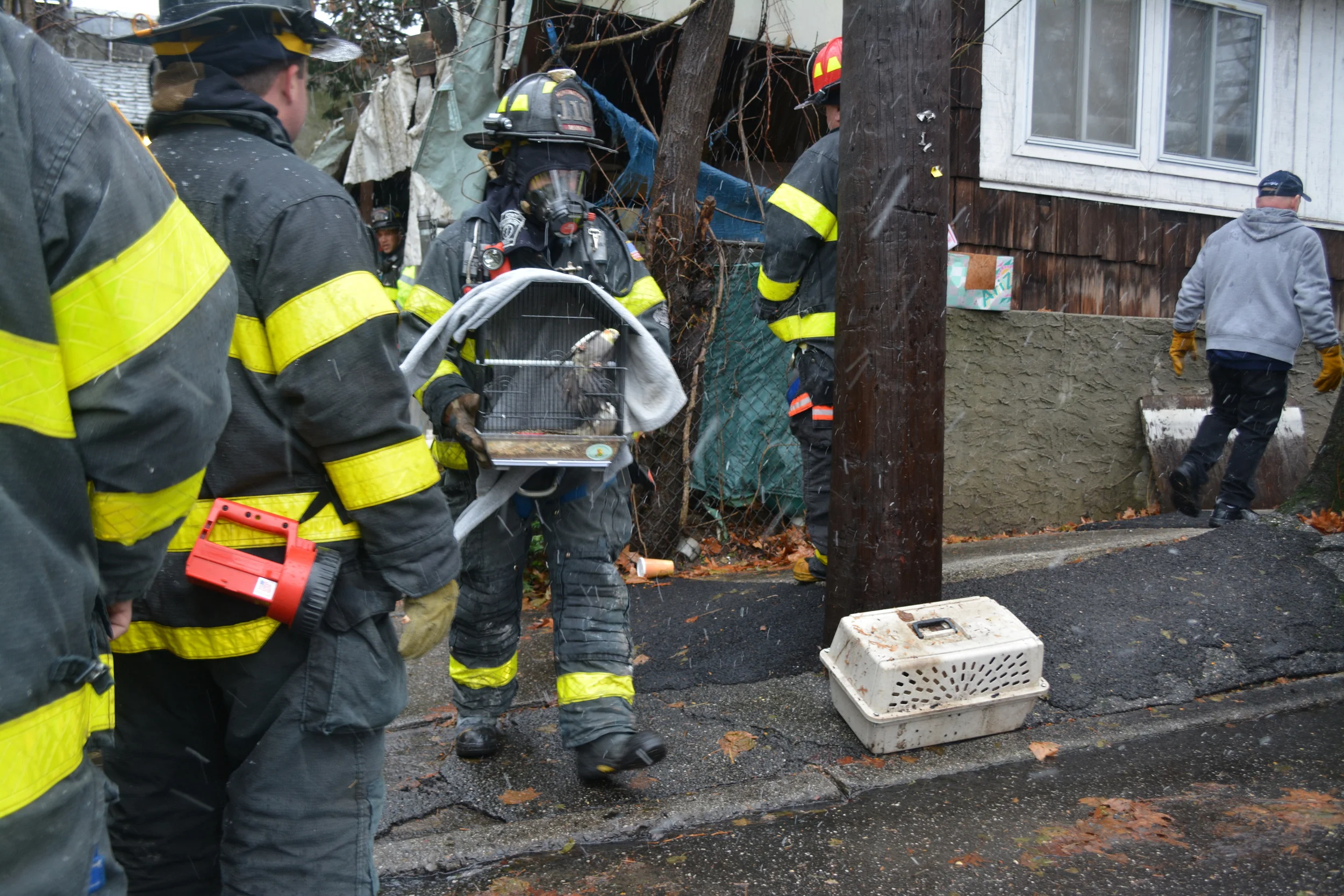 Army Store Evicted; Menagerie Seized