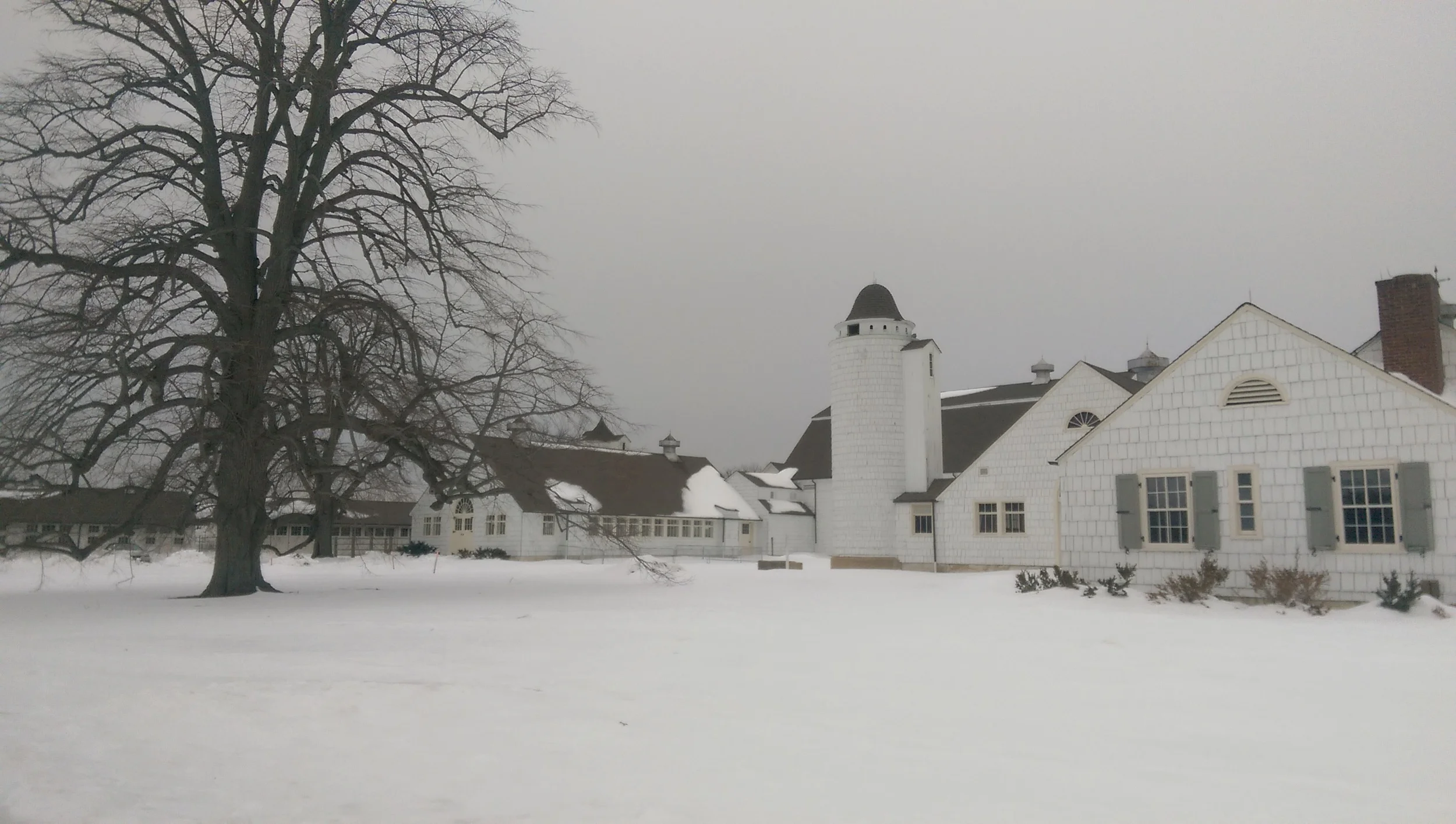 Keeping Up With Caumsett In The Cold