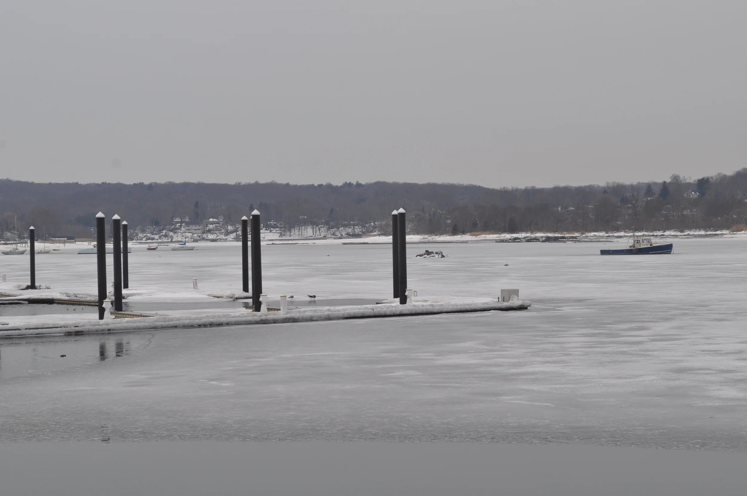 For Shellfishers, A Winter For The Ages