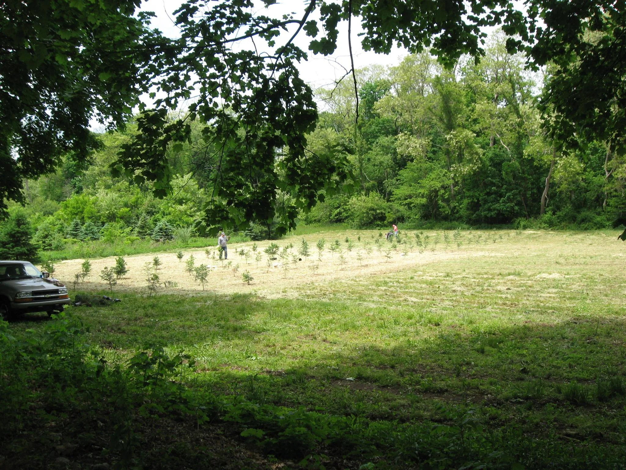 Town Explores Tilden Farm Buy