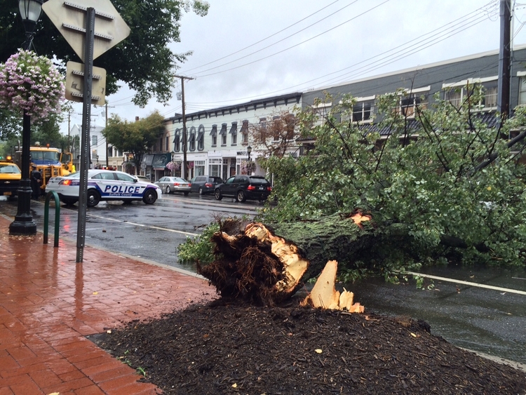Downed Tree Blocks Main Street in Huntington