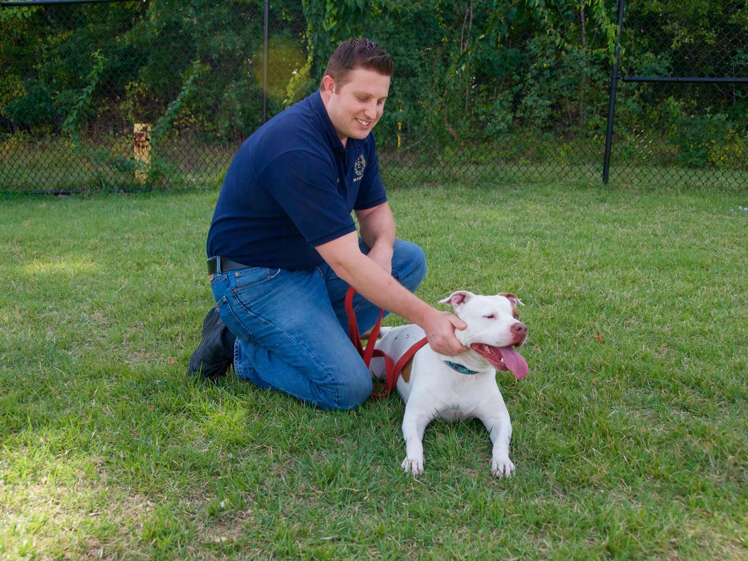 Town Pushes Pitbull Awareness Month