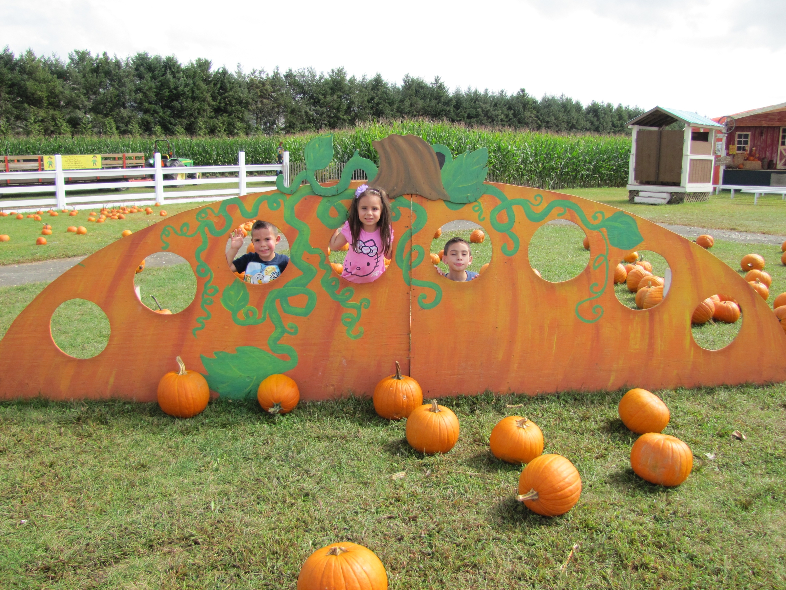 Where To Have Fall Fun Around Huntington