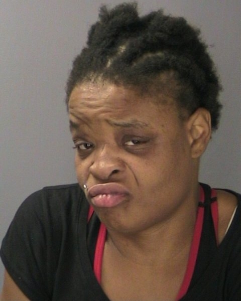 Terry Niakeya, 33, of Davidson Street, Wyandanch, was apparently high on drugs when she assaulted two officers, police said.