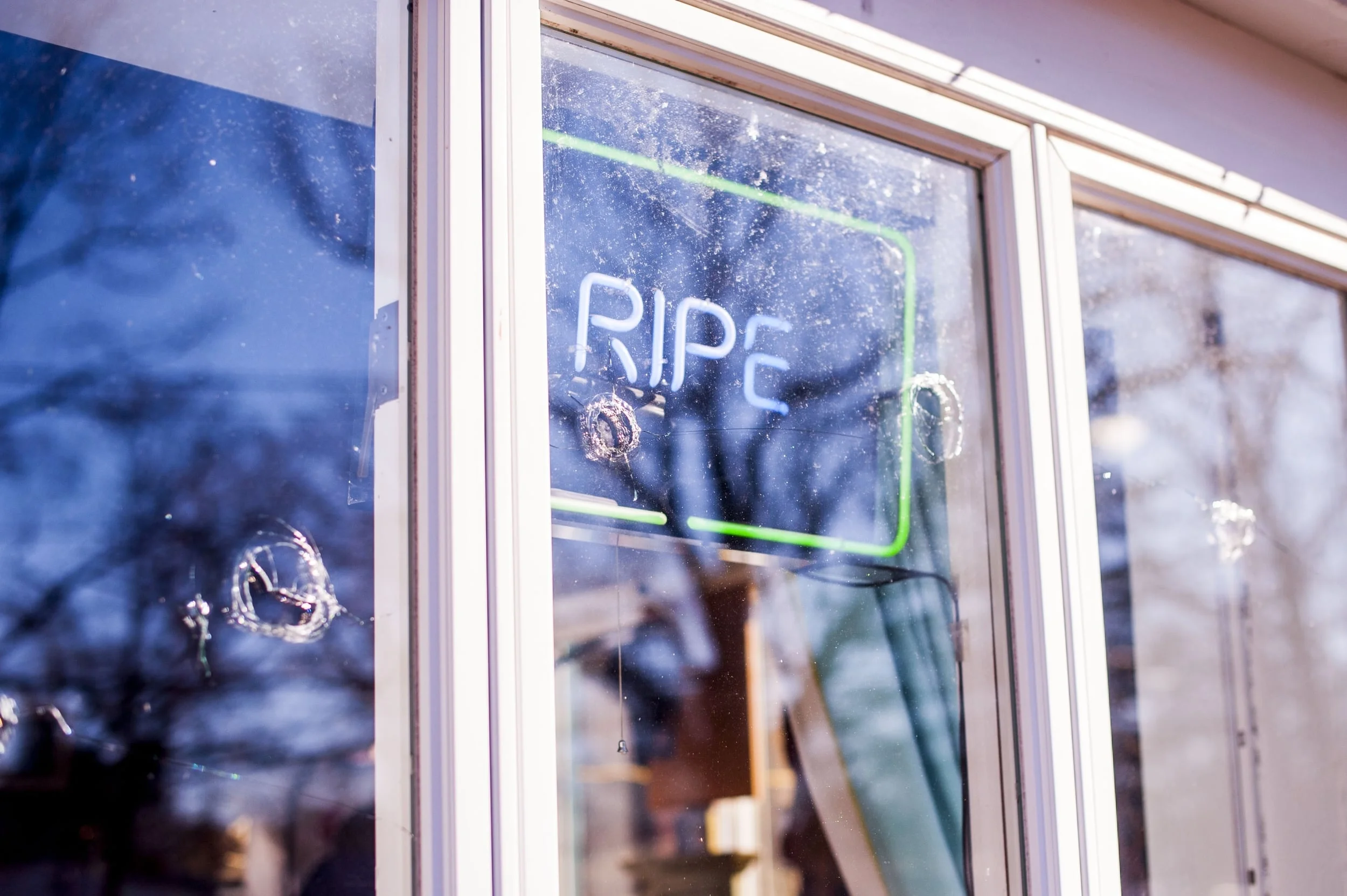 Ripe Art Gallery's Windows Shot Up