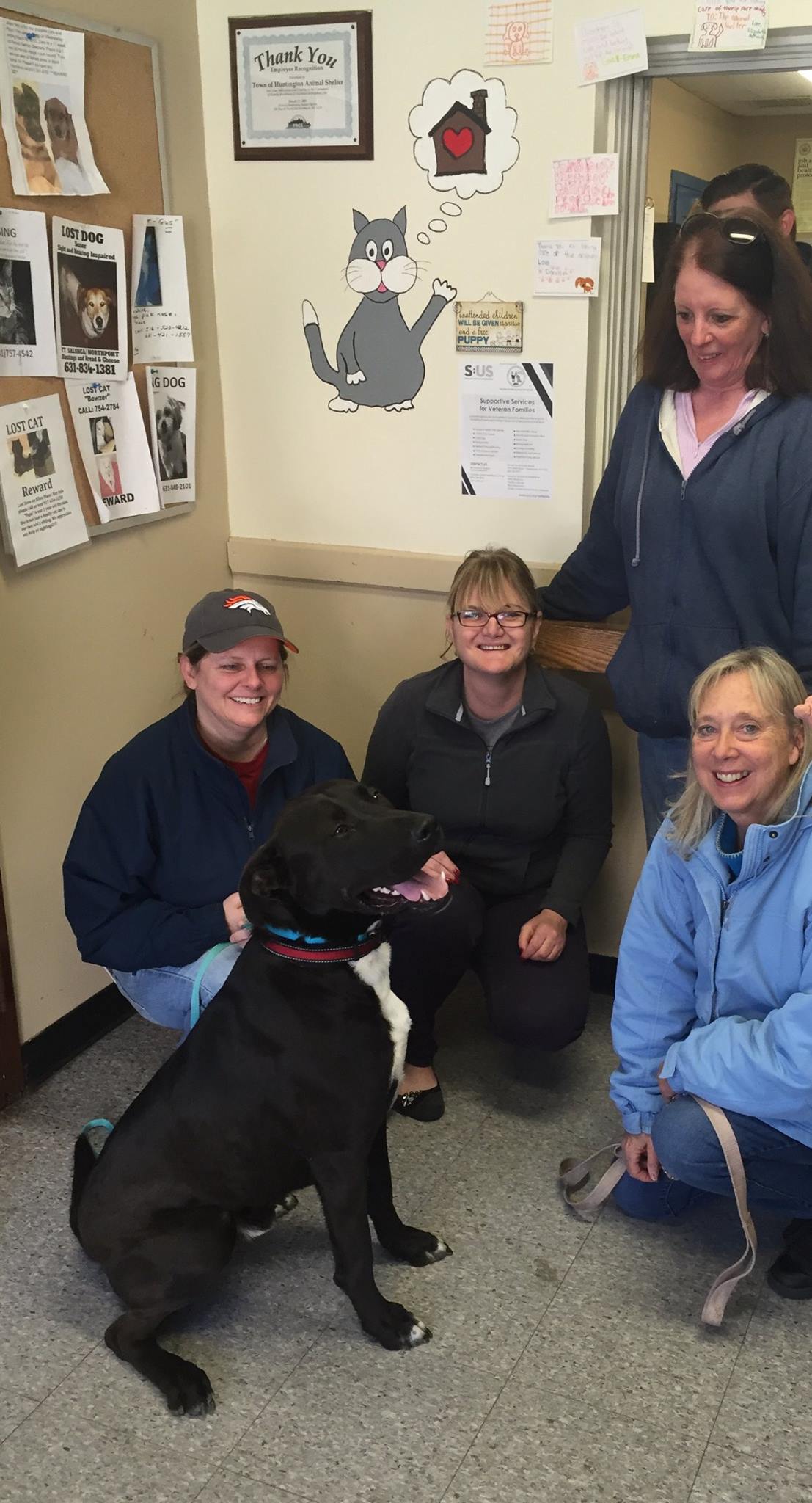 Stewy, a Great Dane mix who lived at the Huntington Animal shelter for over 2 years, was one of seven dogs adopted last week at the shelter. Stewy is pictured with his new owner, Lisa Donelly, left, and shelter volunteers Jodi Record, Jane Barbato, June Johnson. Photo by Facebook/Huntington Animal Shelter