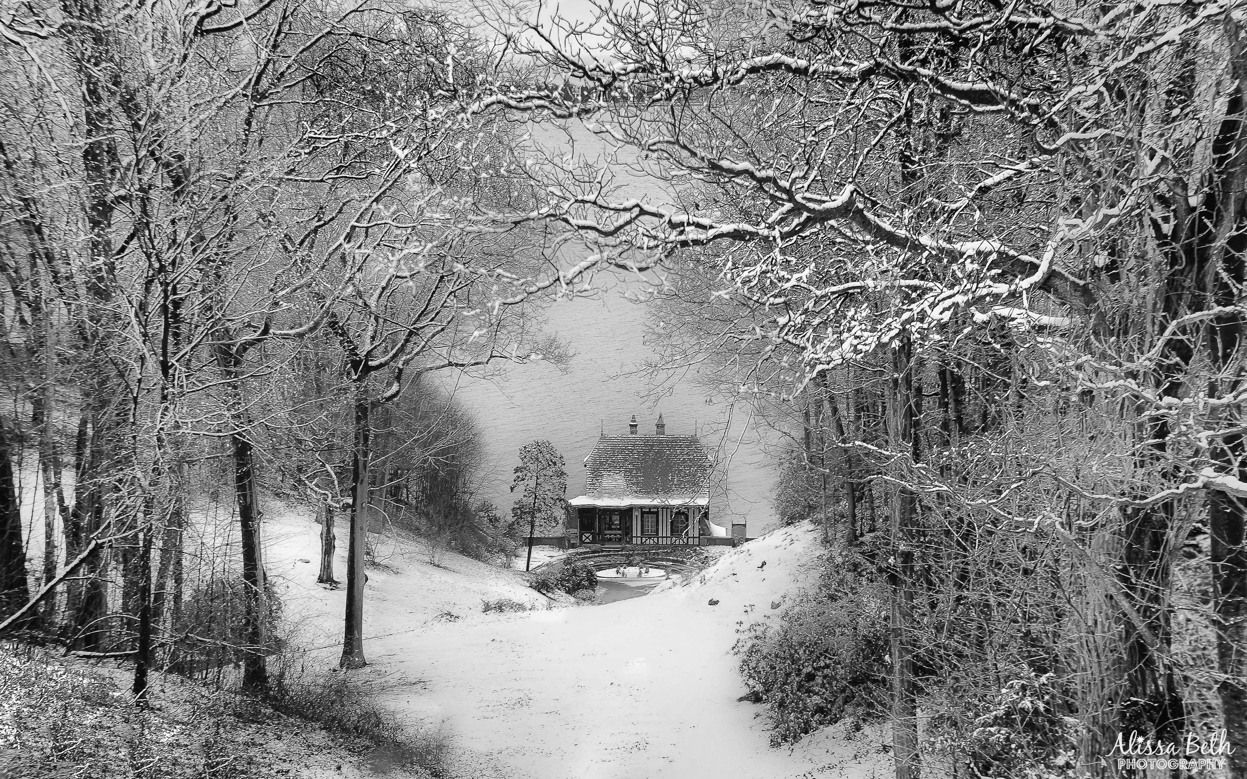 “A Winter’s Tale,” by Alissa Rosenberg, of Commack, overlooks a scenic view of the Vanderbilt Museum boathouse in Centerport during a snowstorm.