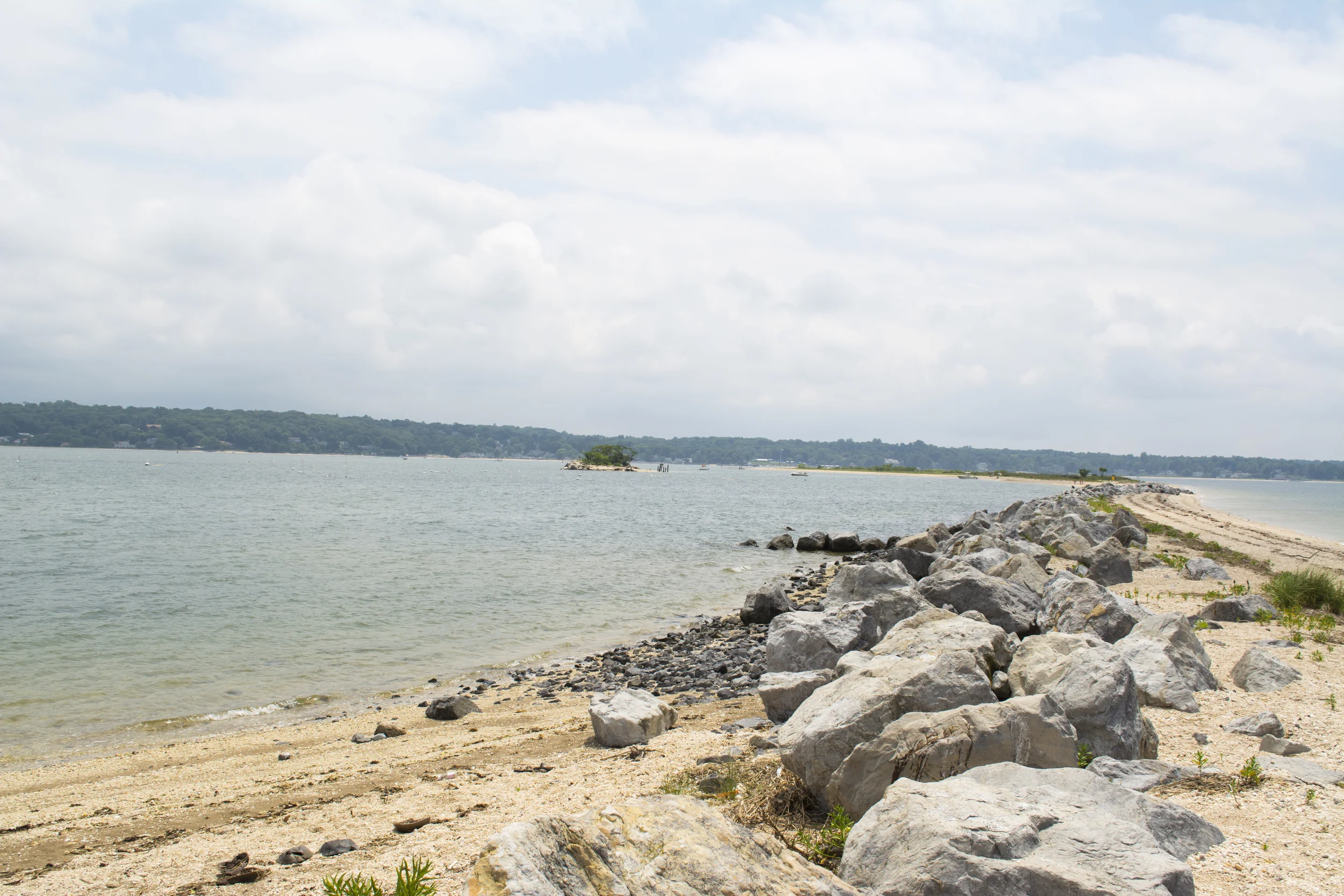 A Guide To Nature In Huntington