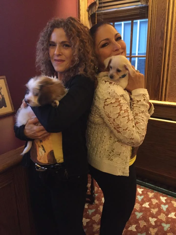 little shelter animal rescue and adoption center