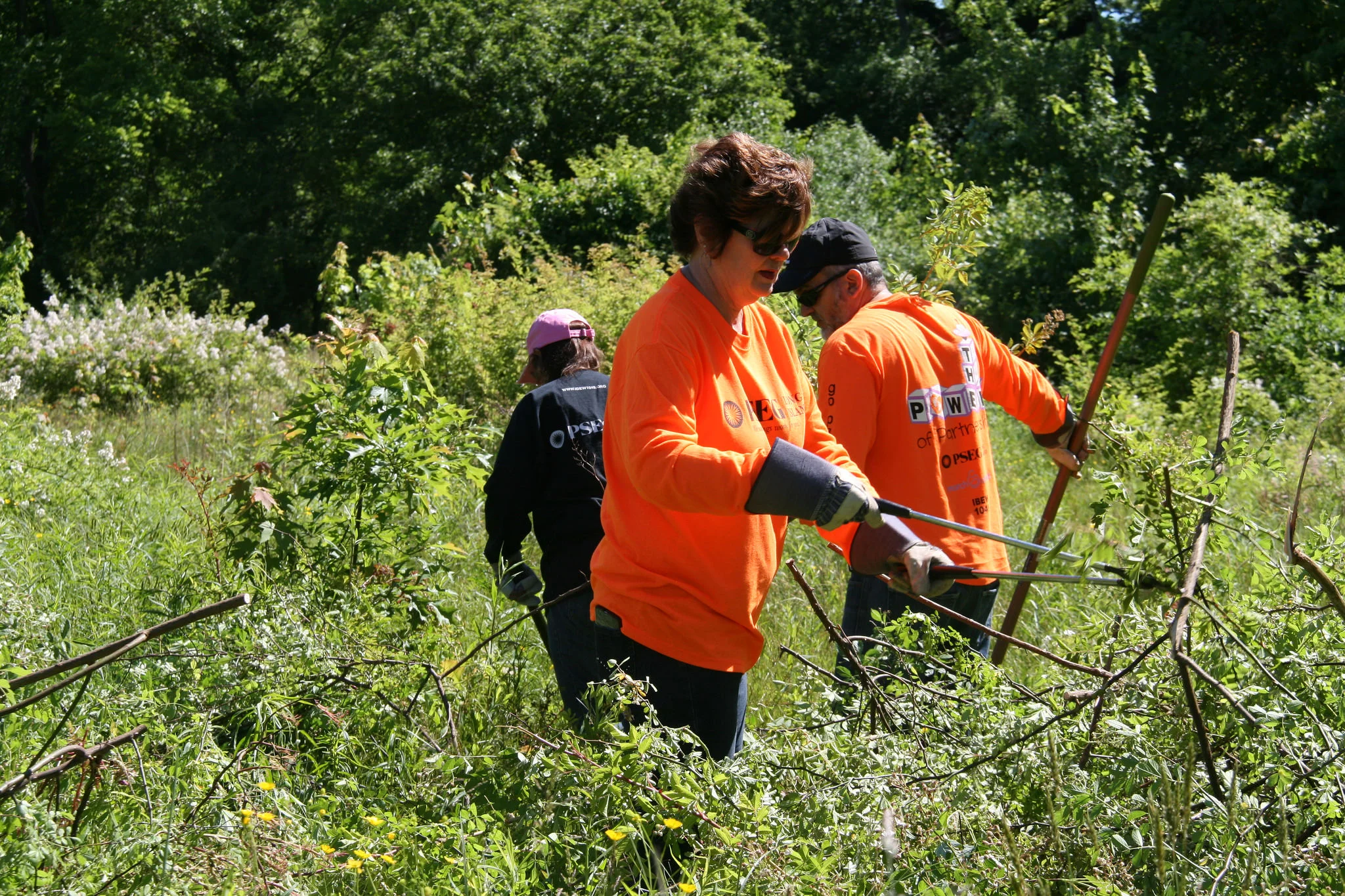 Volunteers Spruce Up Park In Greenlawn 