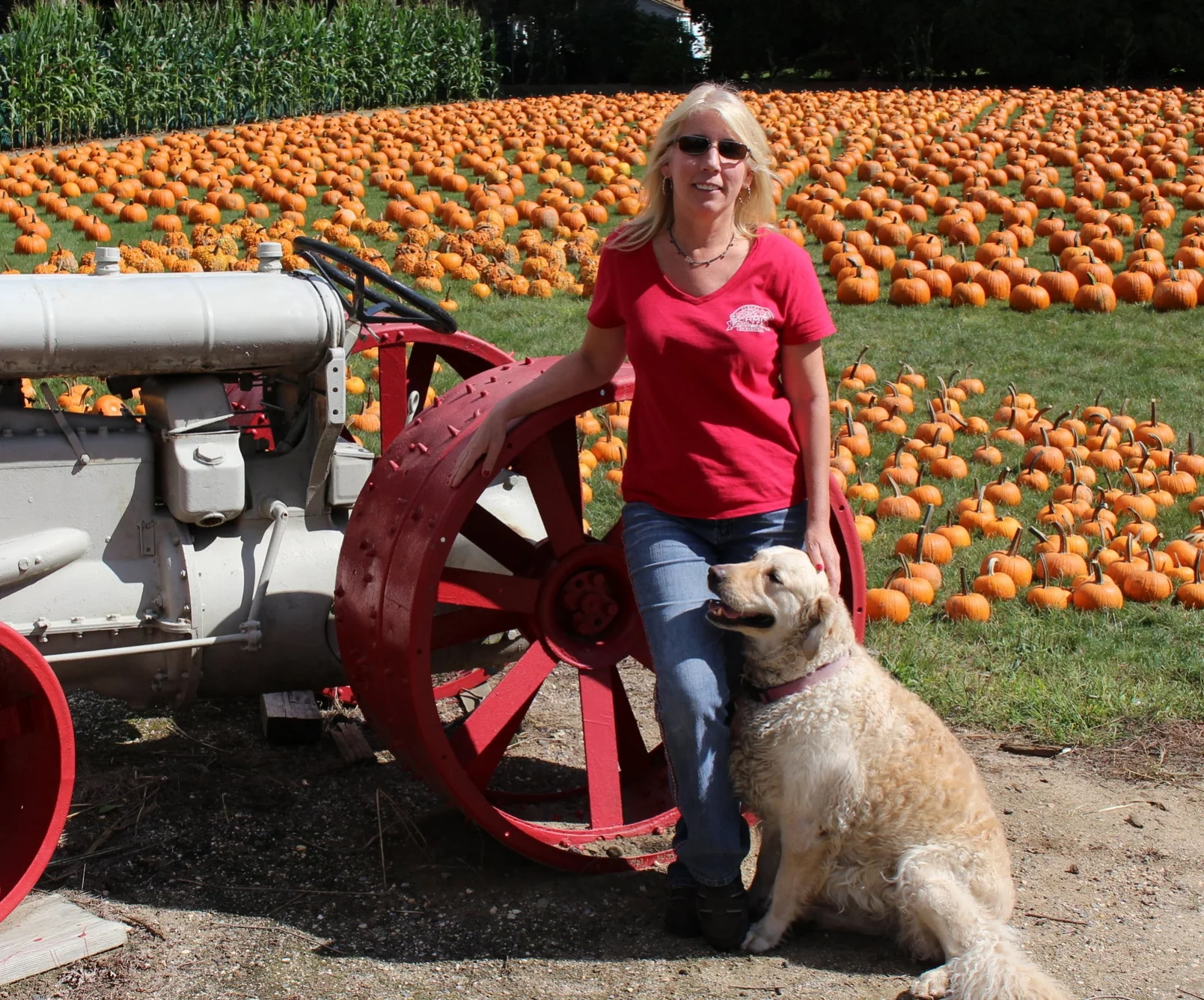 Fall Time Fun In Huntington