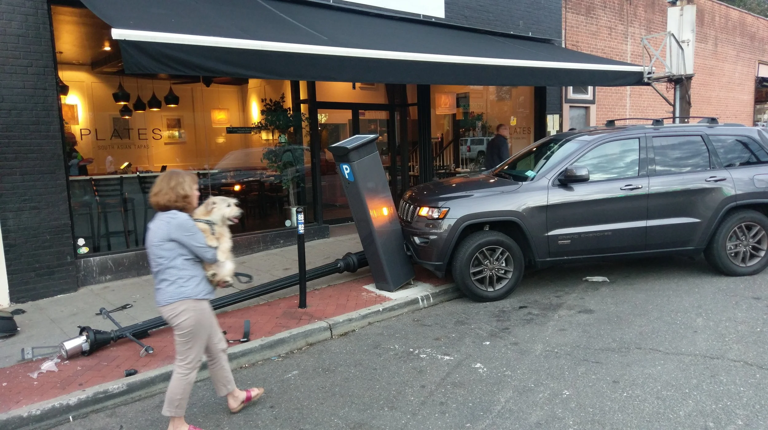 Witnesses: Dog Causes Driverless Truck To Slam Into Village Parking Meter