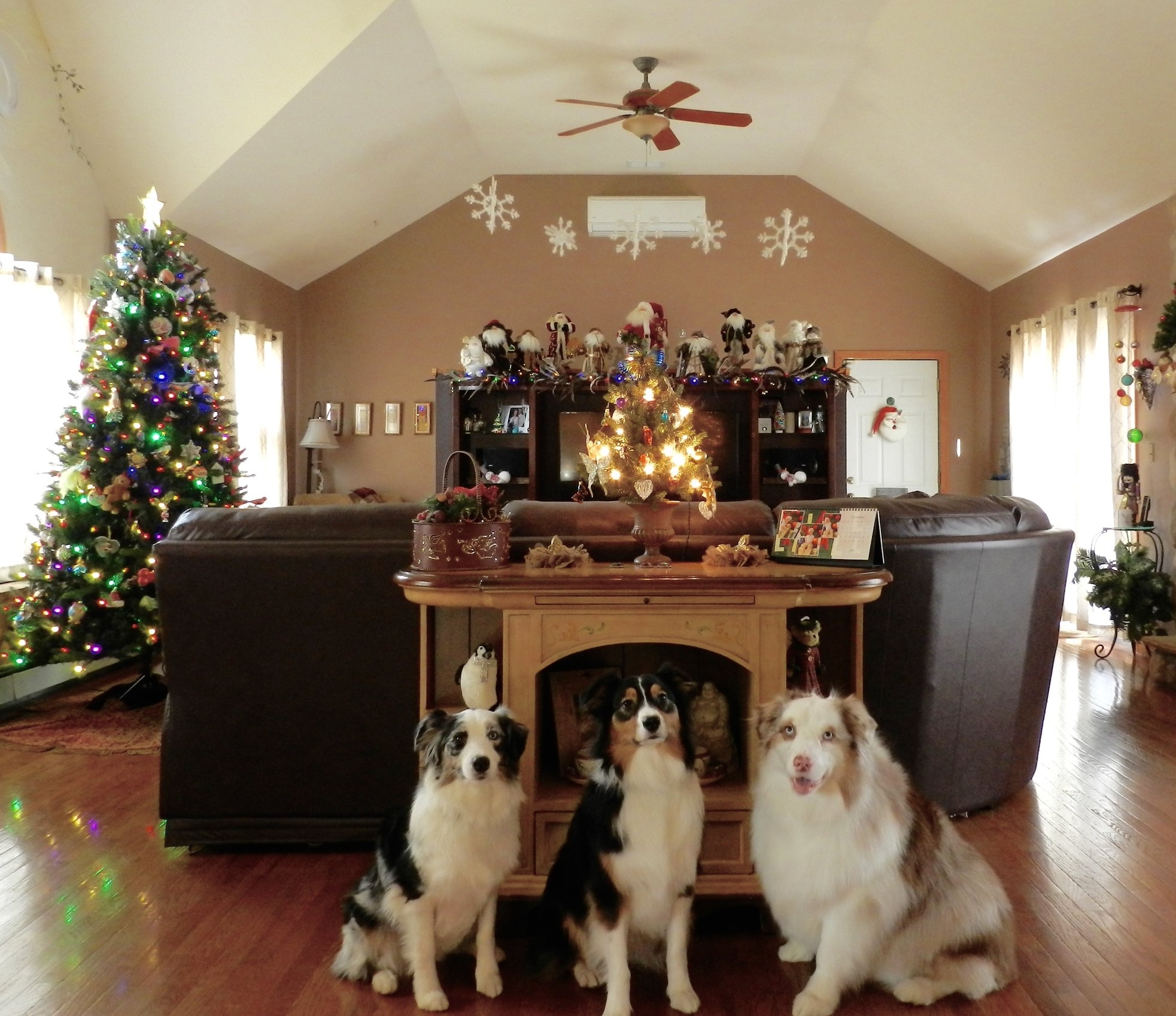  Best Traditional Indoor Median Family, East Northport 