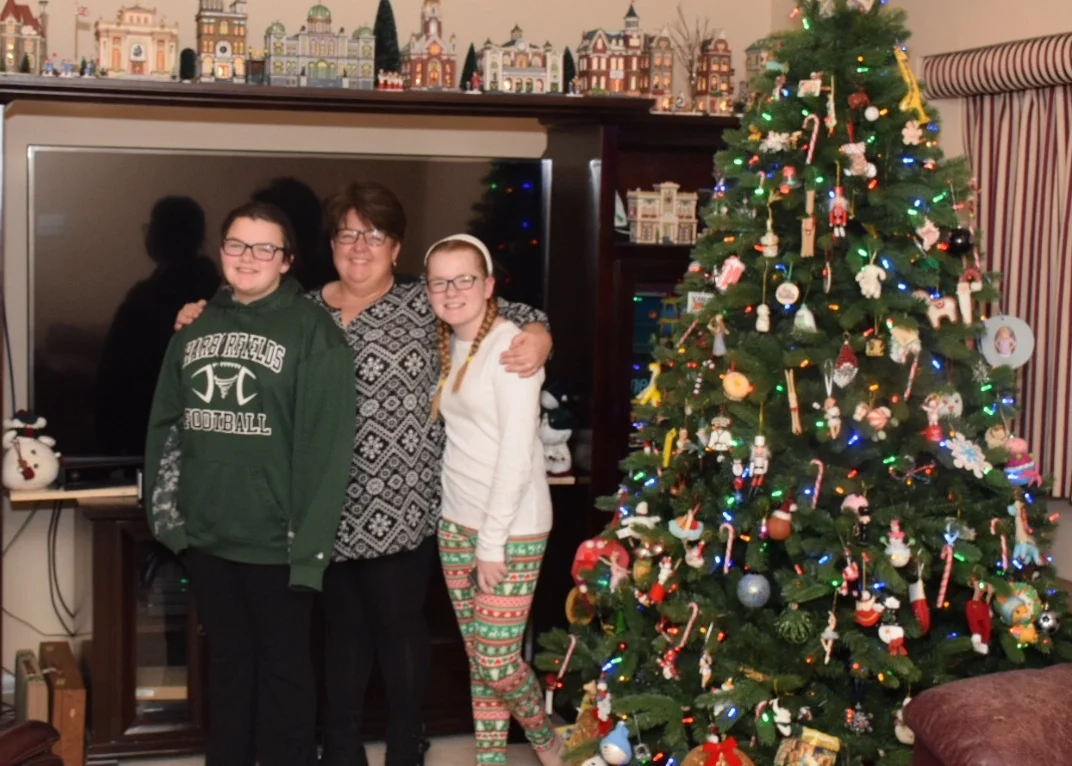  Best Traditional Indoor Allan Family, Greenlawn 