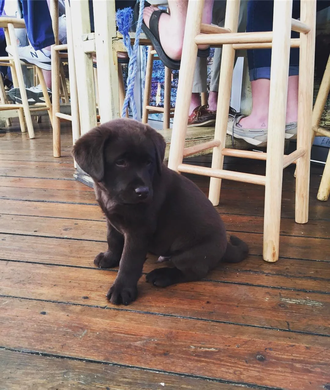 Side Dish: Pup-Friendly Bar, Wine & Burger Specials, New Shop Opening and Restaurant Week