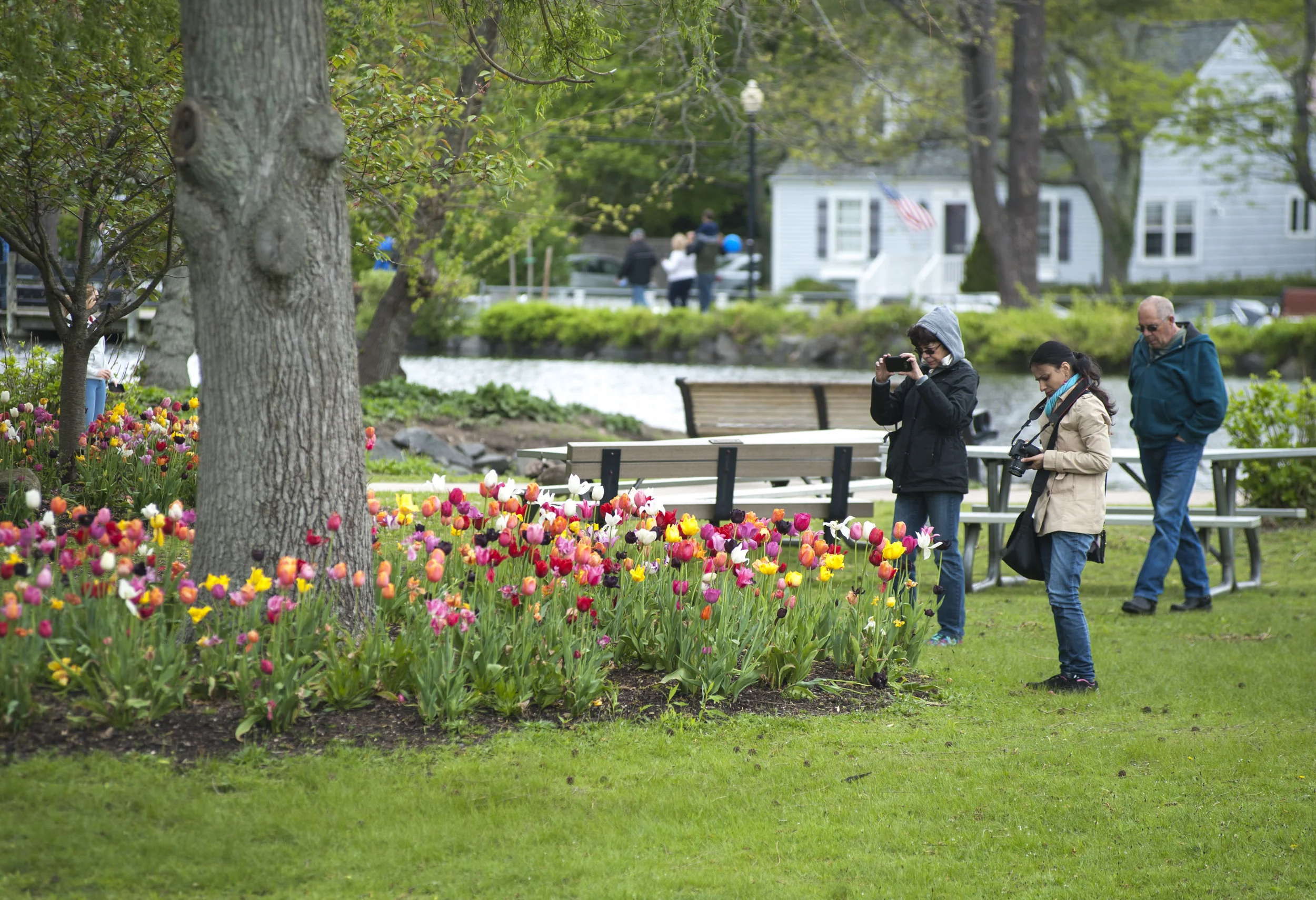  Over 20,000 tulips in a rainbow of colors were planted around Heckscher Park, a sight that has drawn a massive crowd of visitors since the festival began in 2001. 