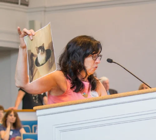 Cat Shelter Supporters Sound Off