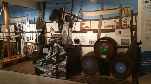  As part of the renovations, a new exhibit, “Thar She Blows” takes visitors through life aboard a whaling vessel, complete with “smelling stations,” where patrons can smell whale blubber and the living quarters of the sailors.    