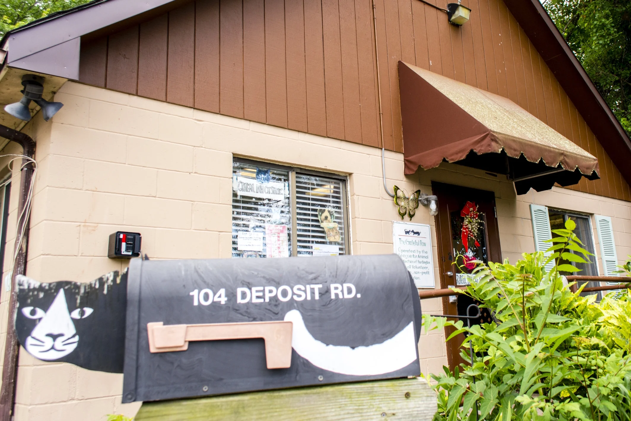 Cat Shelter Operator Gets More Time To Vacate