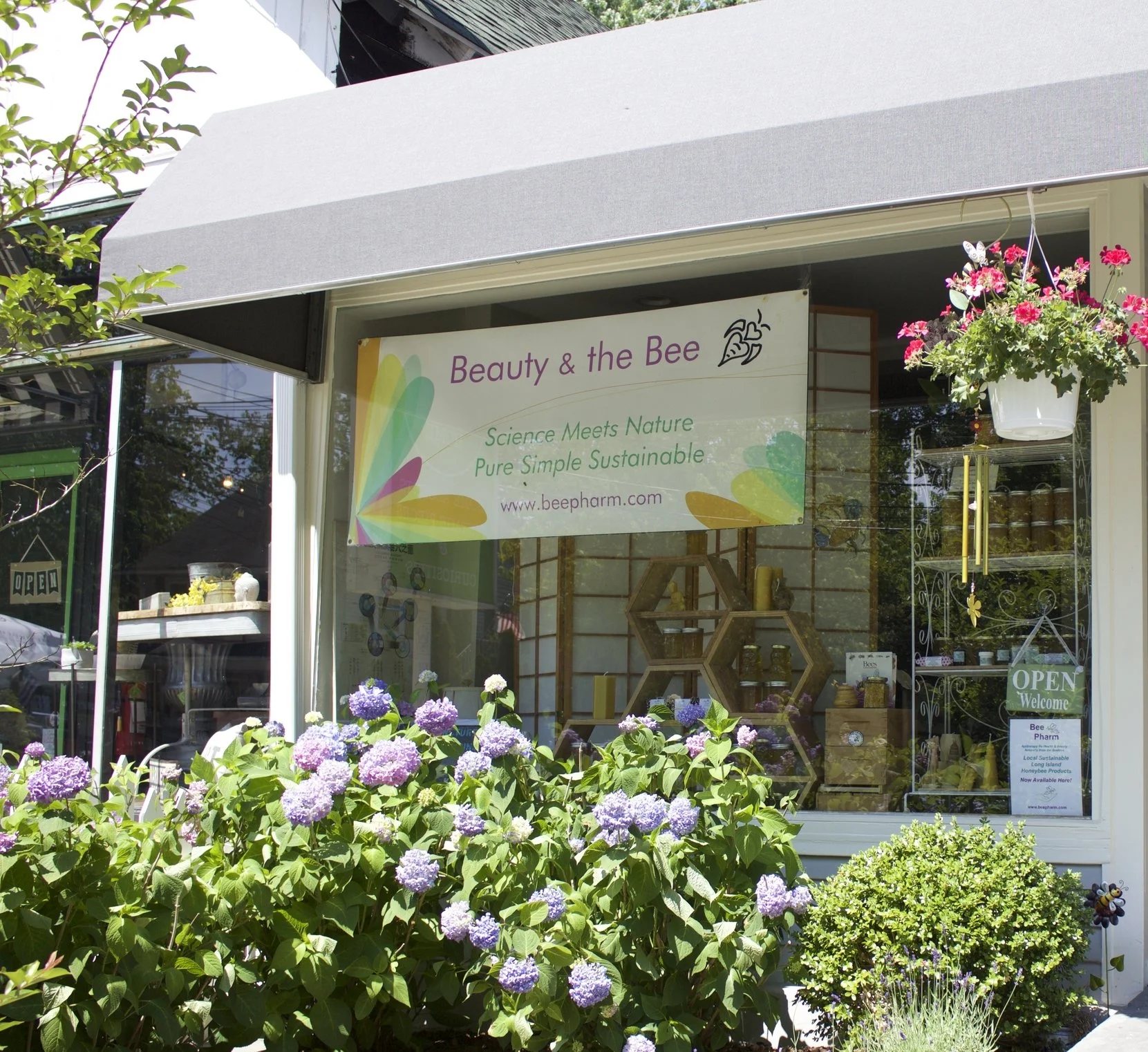 ‘Queen Bee’ Uses Hives To Help Heal