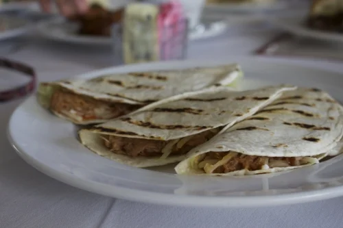  The short rib quesadilla ($10), served with chipotle mayo, offers a crunchy outside and a soft texture on the inside, with a lite cheesy bite. 